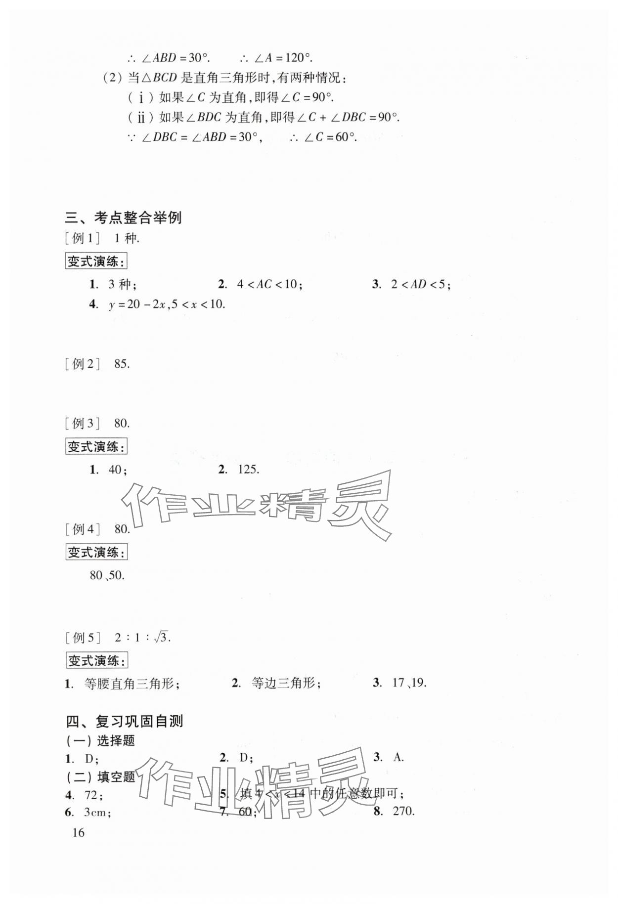 2024年初中数学复习点要&nbsp;参考答案第16页