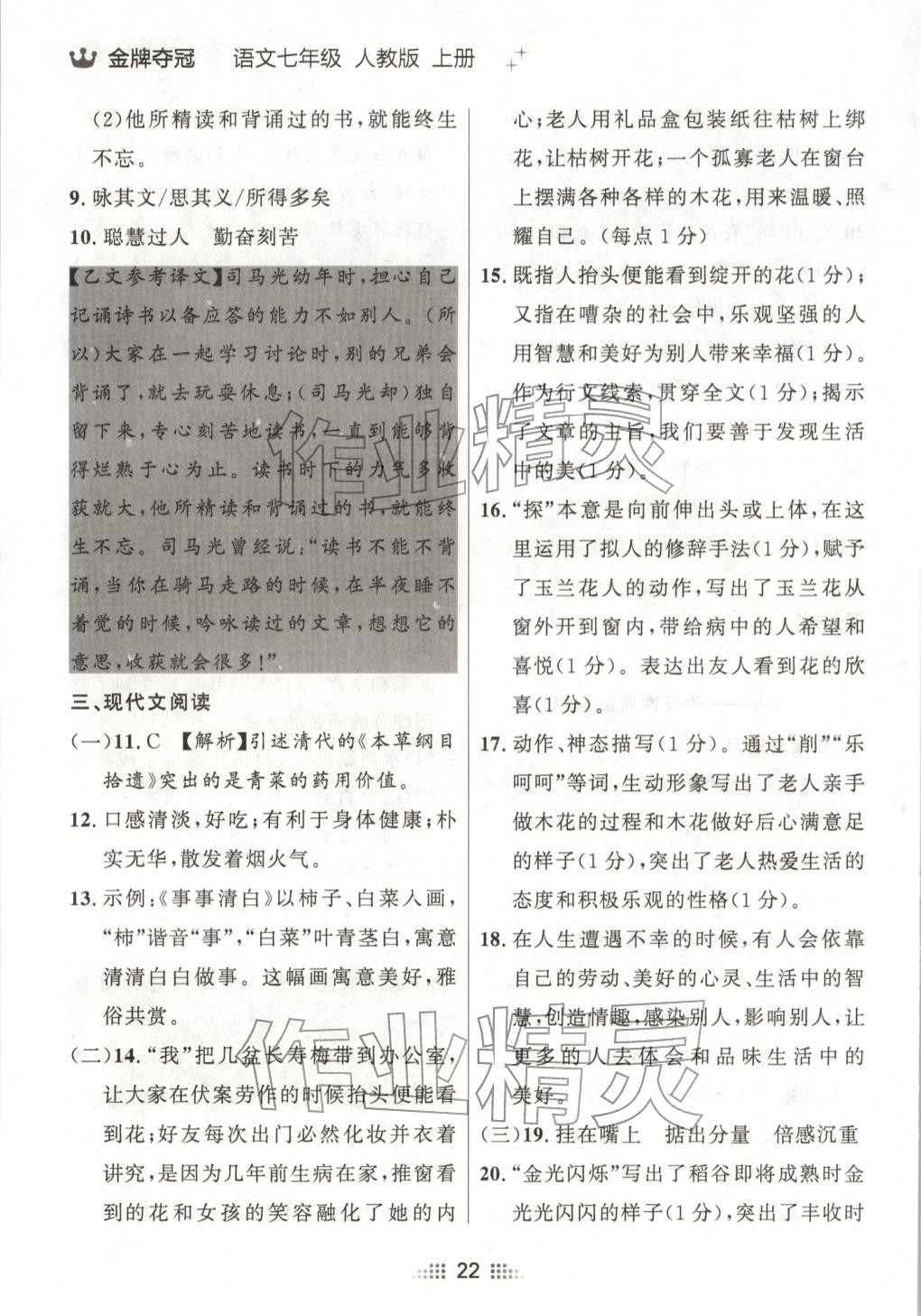 2025年点石成金金牌夺冠七年级语文上册人教版辽宁专版 参考答案第5页