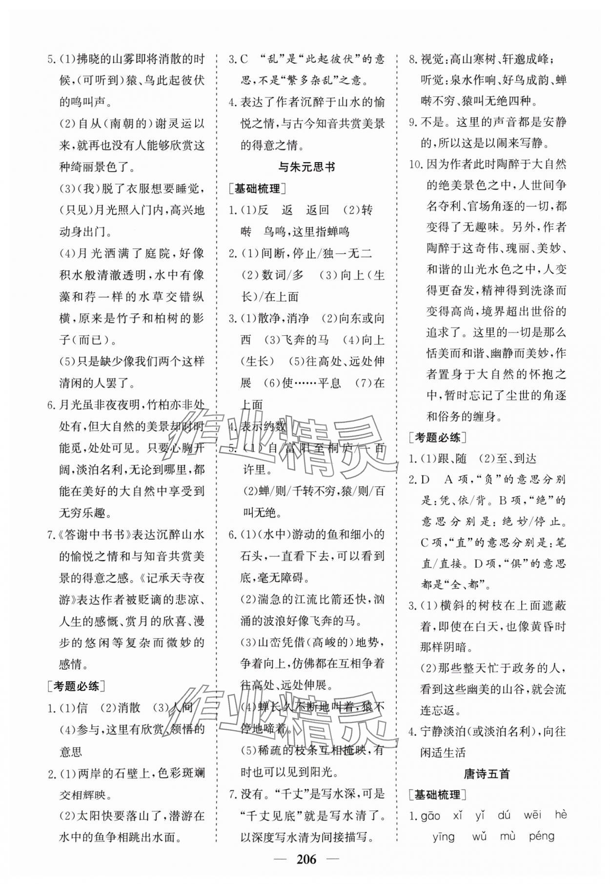 2024年點(diǎn)金考案語文 第8頁