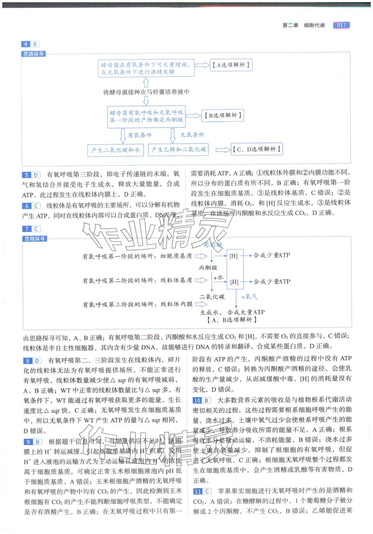 2026年高途高考基礎(chǔ)2000題高中生物&nbsp;第17頁(yè)
