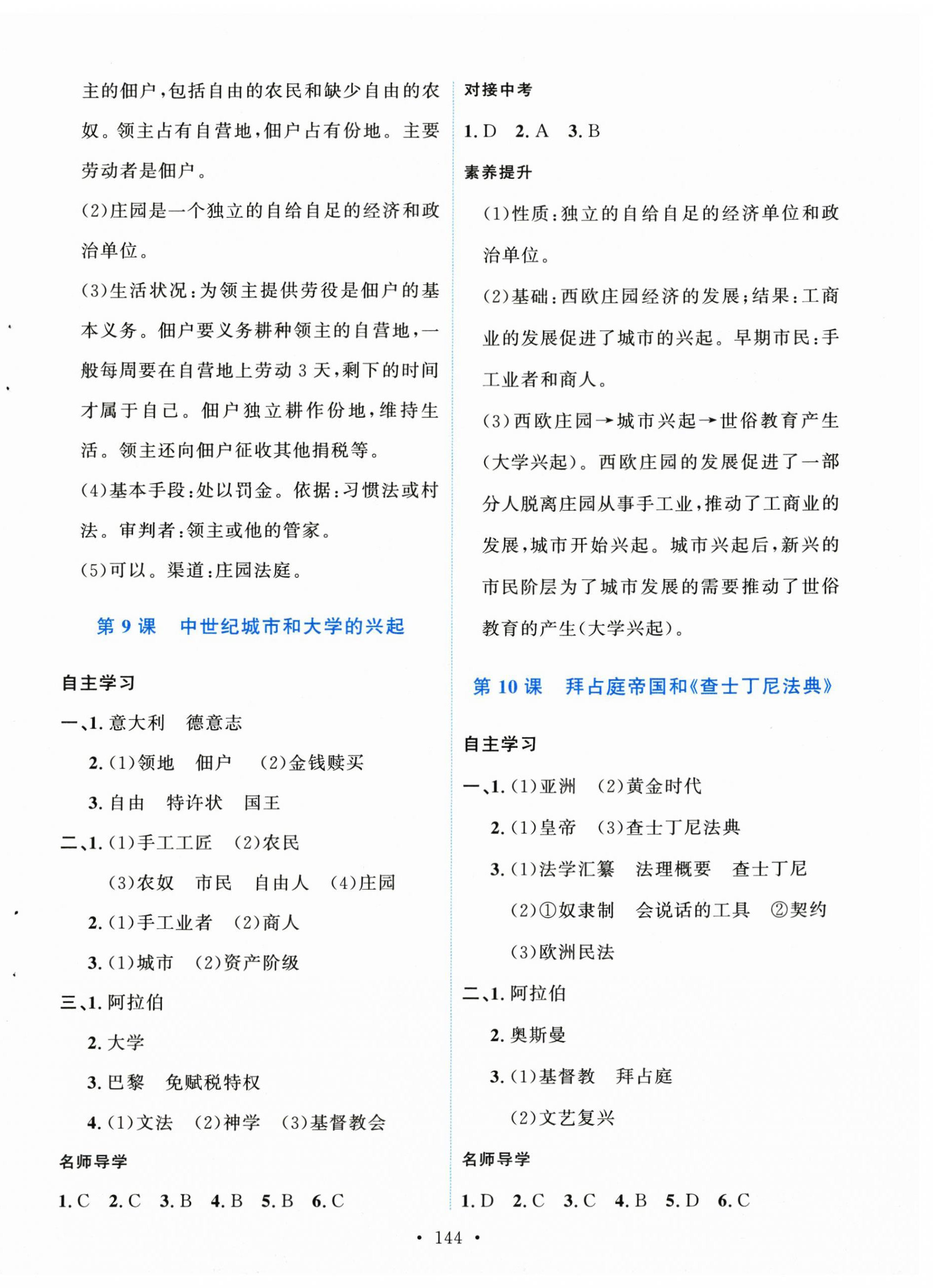 2025年实验教材新学案九年级历史上册人教版 第6页