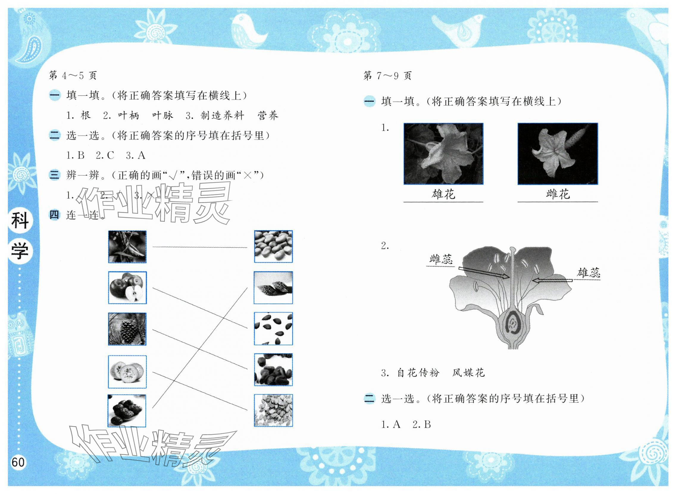 2025年暑假作業(yè)三年級(jí)科學(xué)蘇教版安徽少年兒童出版社 第2頁(yè)