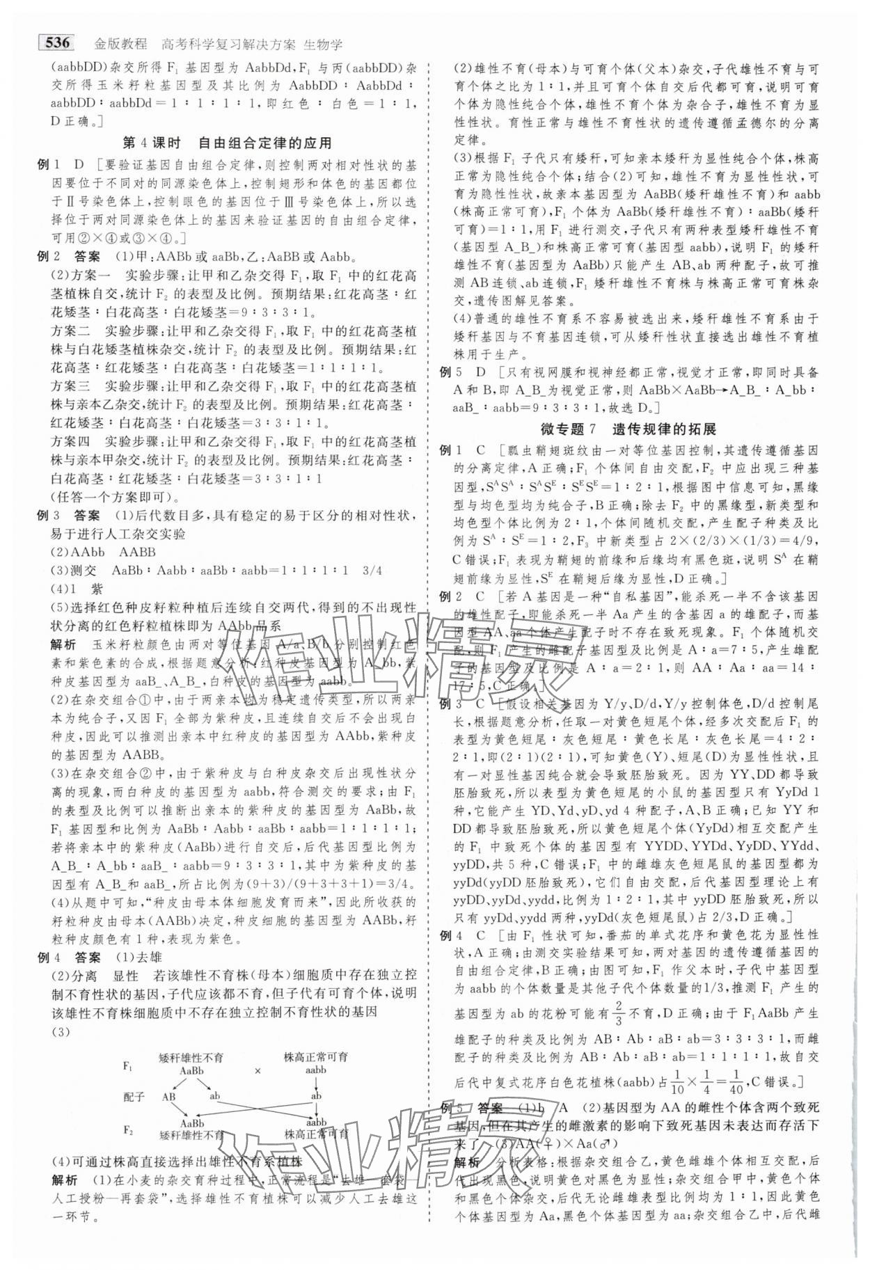 2025年金版教程高考科學復習解決方案生物&nbsp;參考答案第21頁