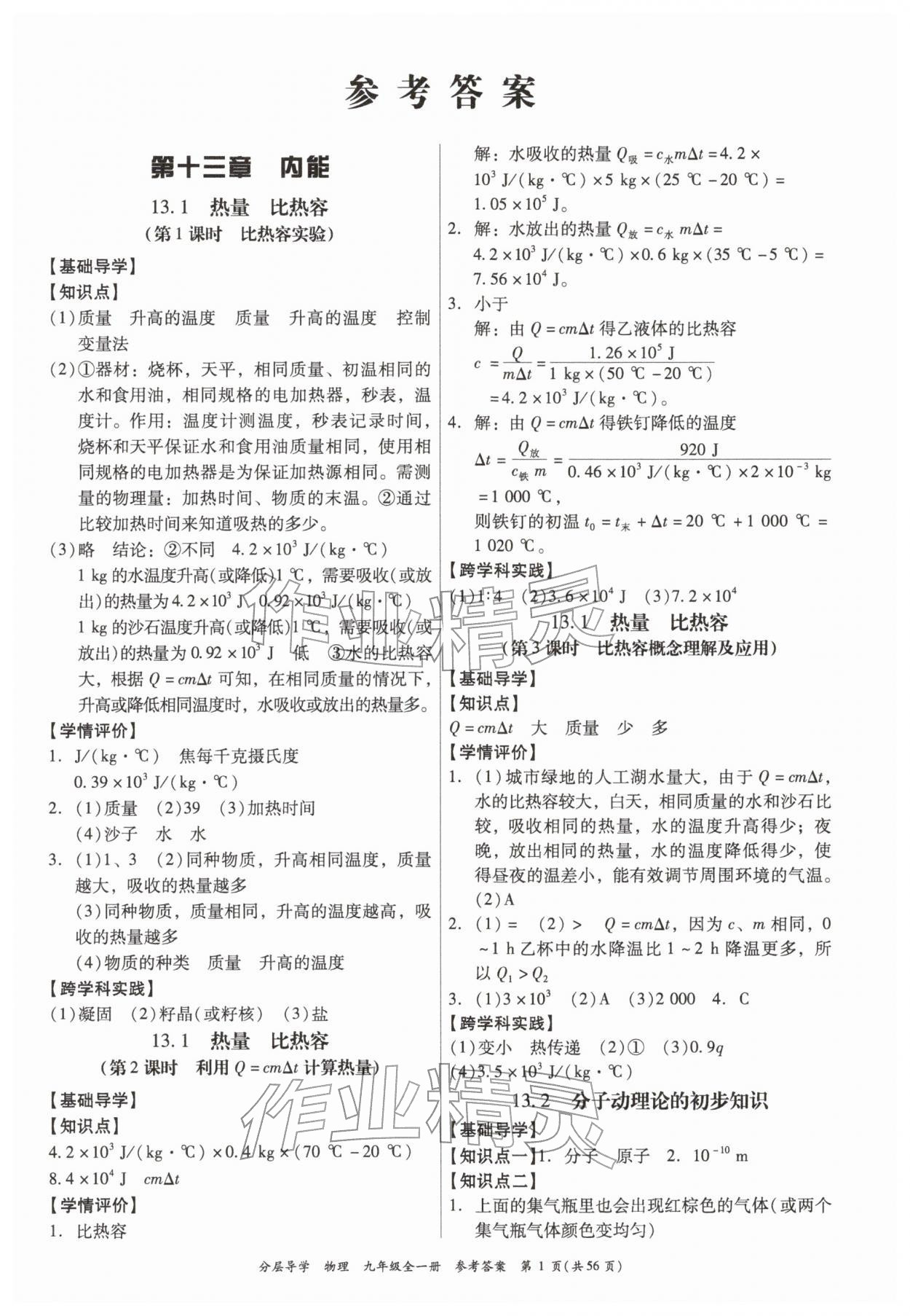 2025年分层导学九年级物理全一册人教版 第1页