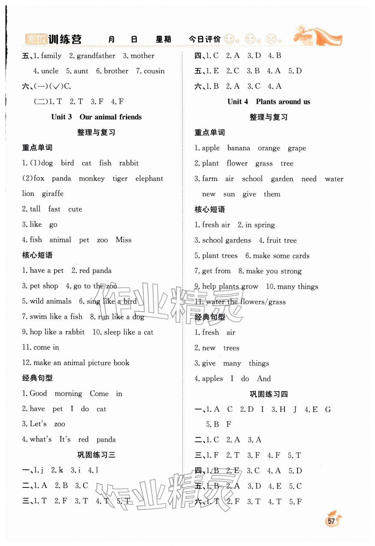 2026年寒假训练营合肥工业大学出版社三年级英语人教版&nbsp;第2页