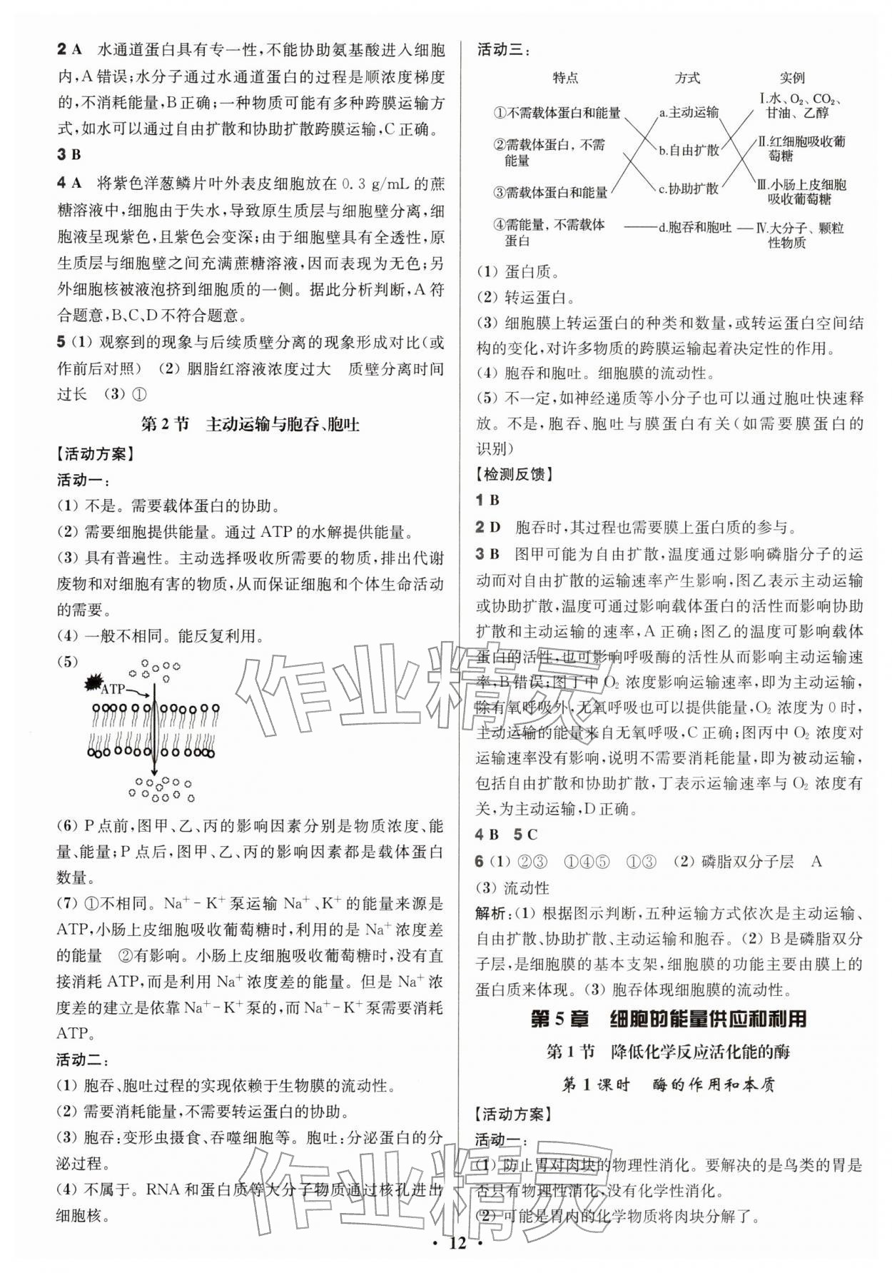 2025年活动单导学课程高中生物必修1人教版 参考答案第12页
