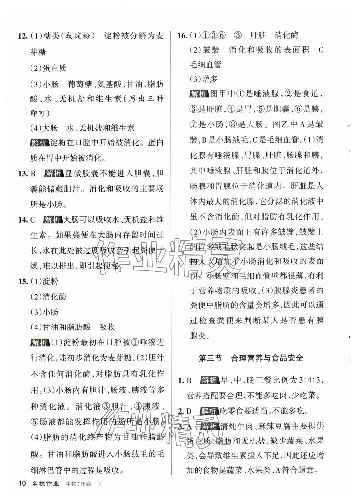 2024年名校作業七年級生物下冊人教版 參考答案第10頁