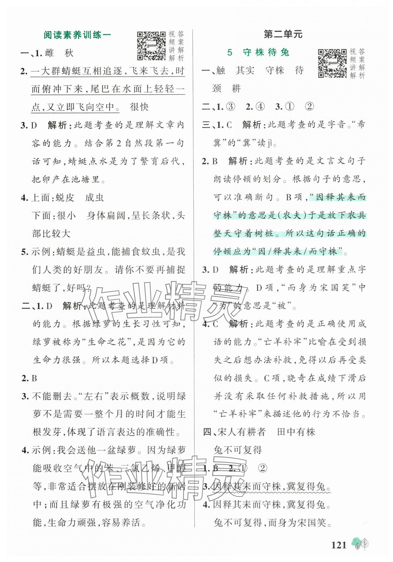 2025年绿卡提优特训三年级语文下册人教版江苏专版&nbsp;参考答案第5页