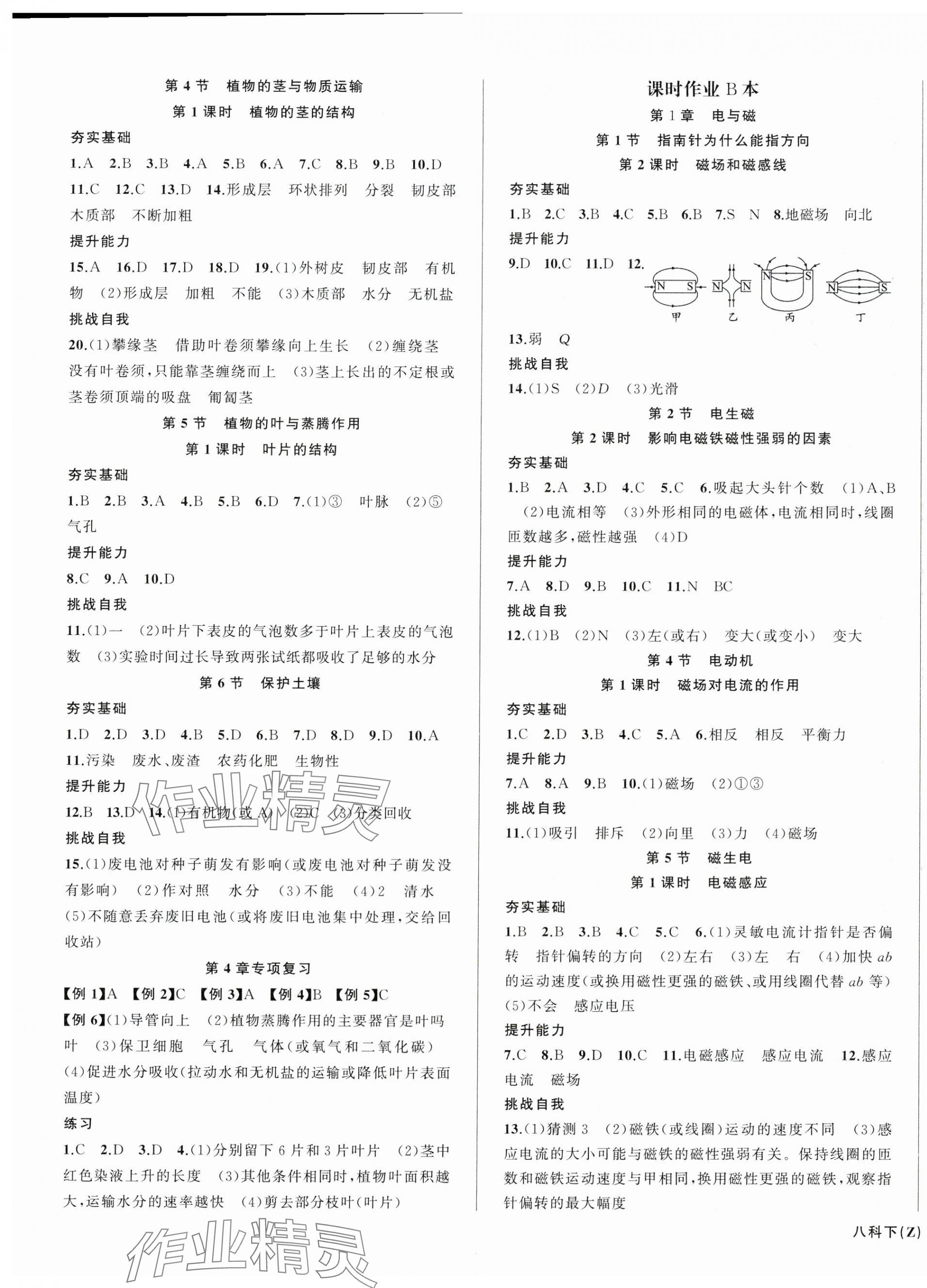 2024年名師面對面同步作業(yè)本八年級科學(xué)下冊浙教版浙江專版 第5頁