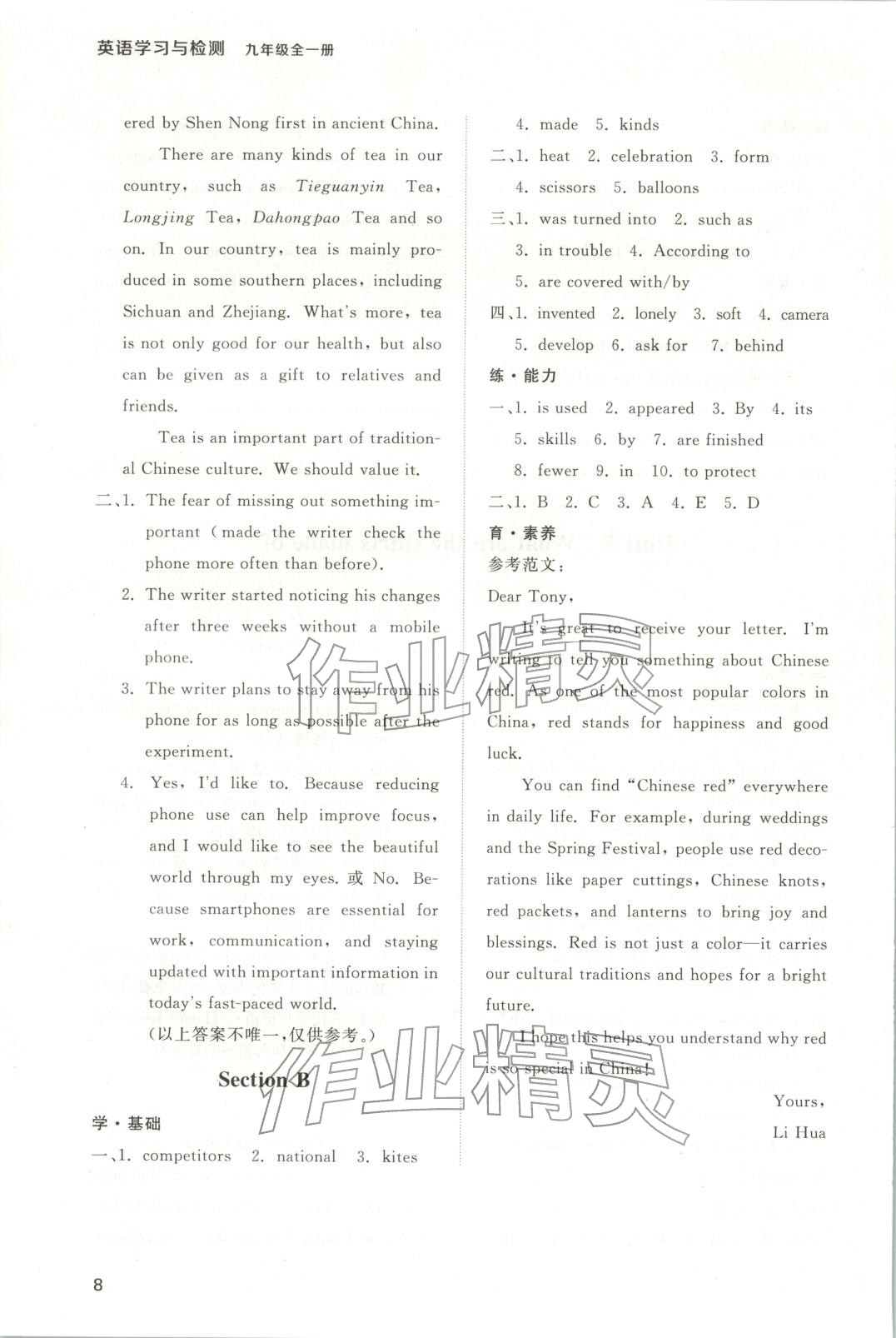 2025年新课程学习与检测九年级英语全一册人教版 第8页
