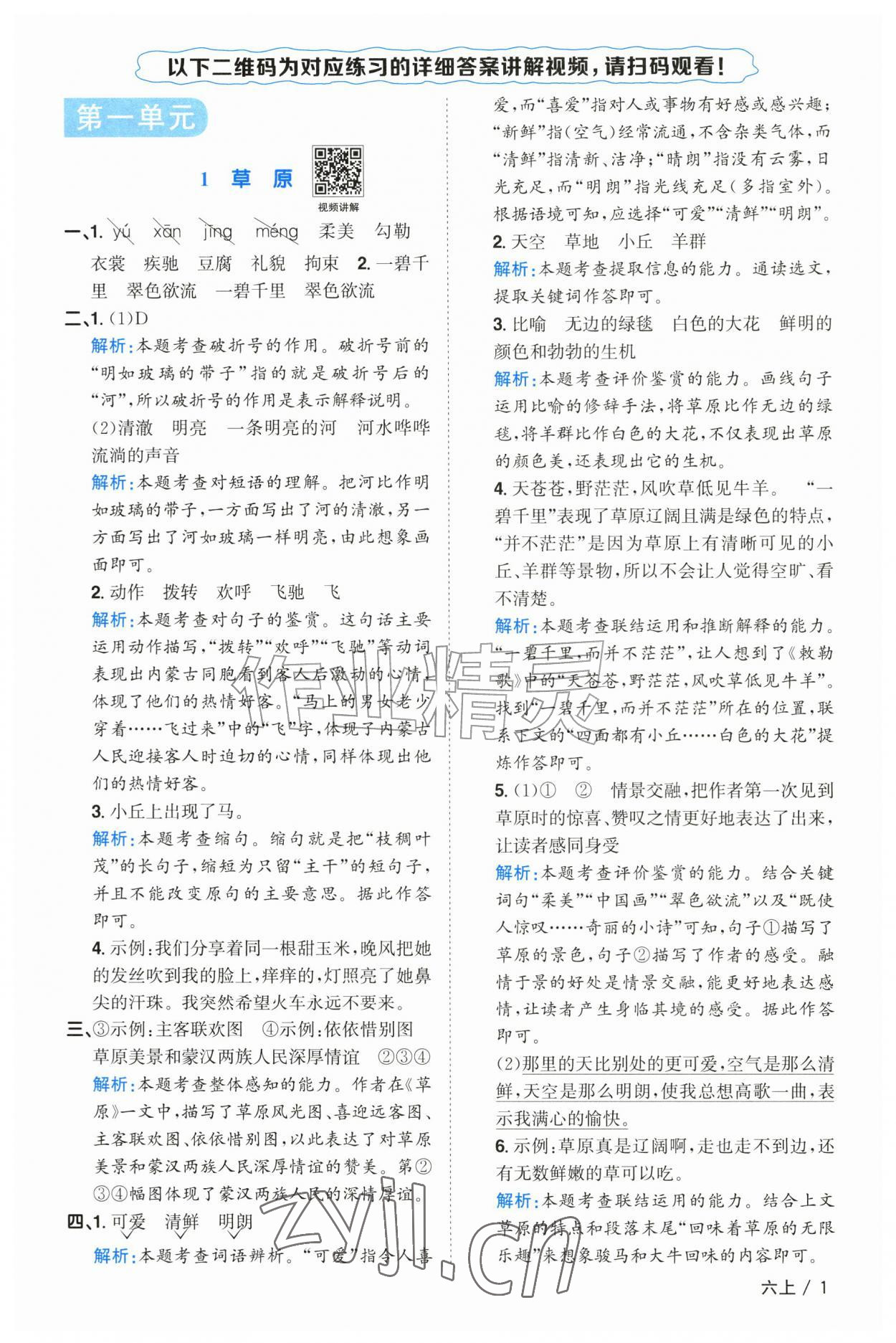 2026年阳光同学课时优化作业六年级语文上册人教版山东专版&nbsp;参考答案第1页
