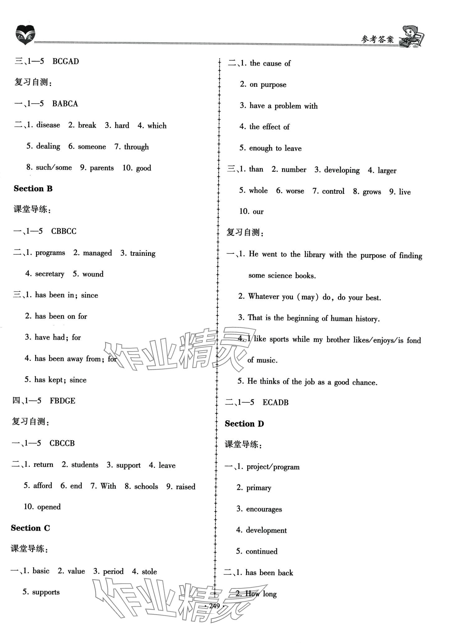 2024年仁愛英語同步學(xué)案九年級全一冊仁愛版 第23頁