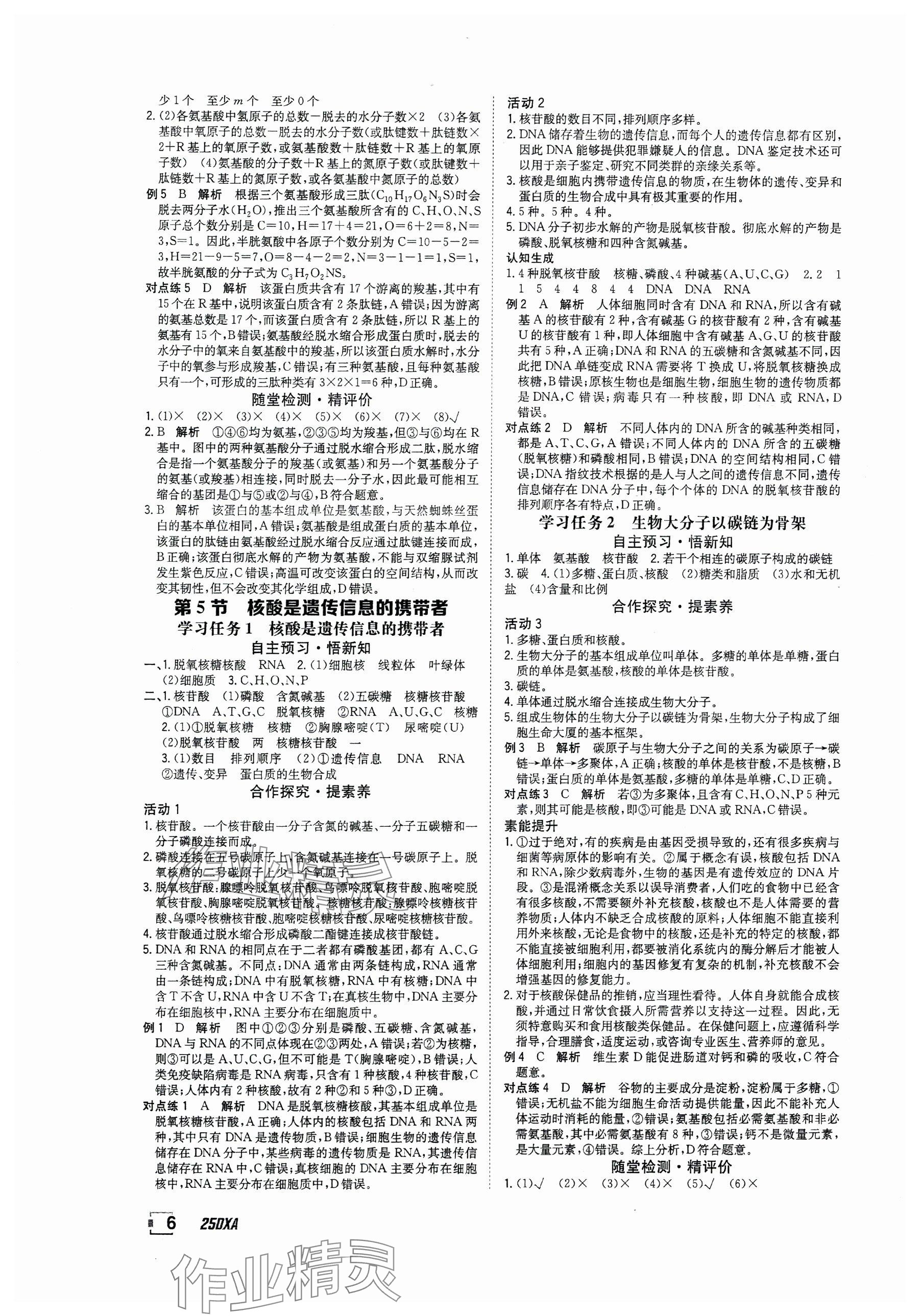 2024年金太陽導學案高中生物必修1人教版 參考答案第6頁