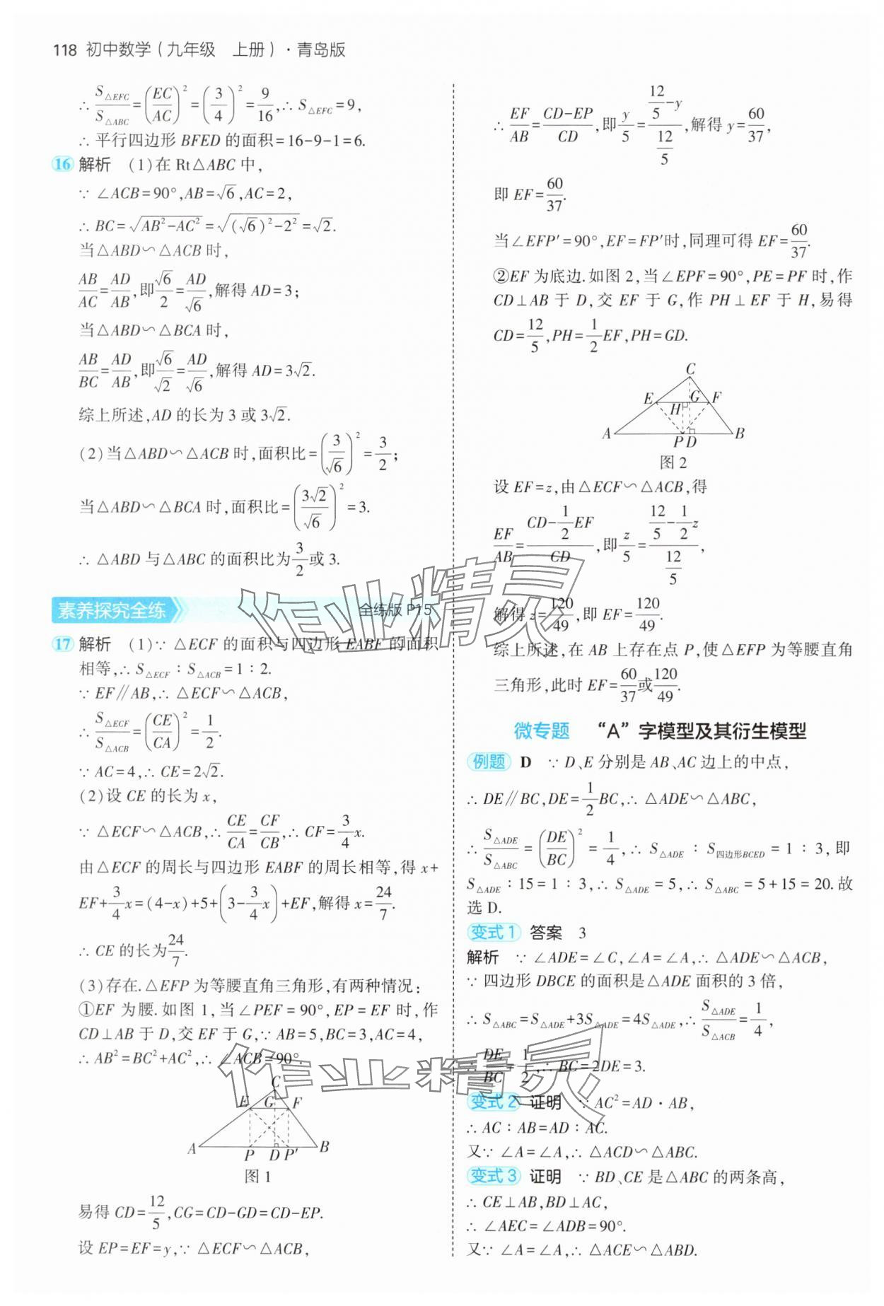 2024年5年中考3年模拟初中数学九年级数学上册青岛版 参考答案第8页