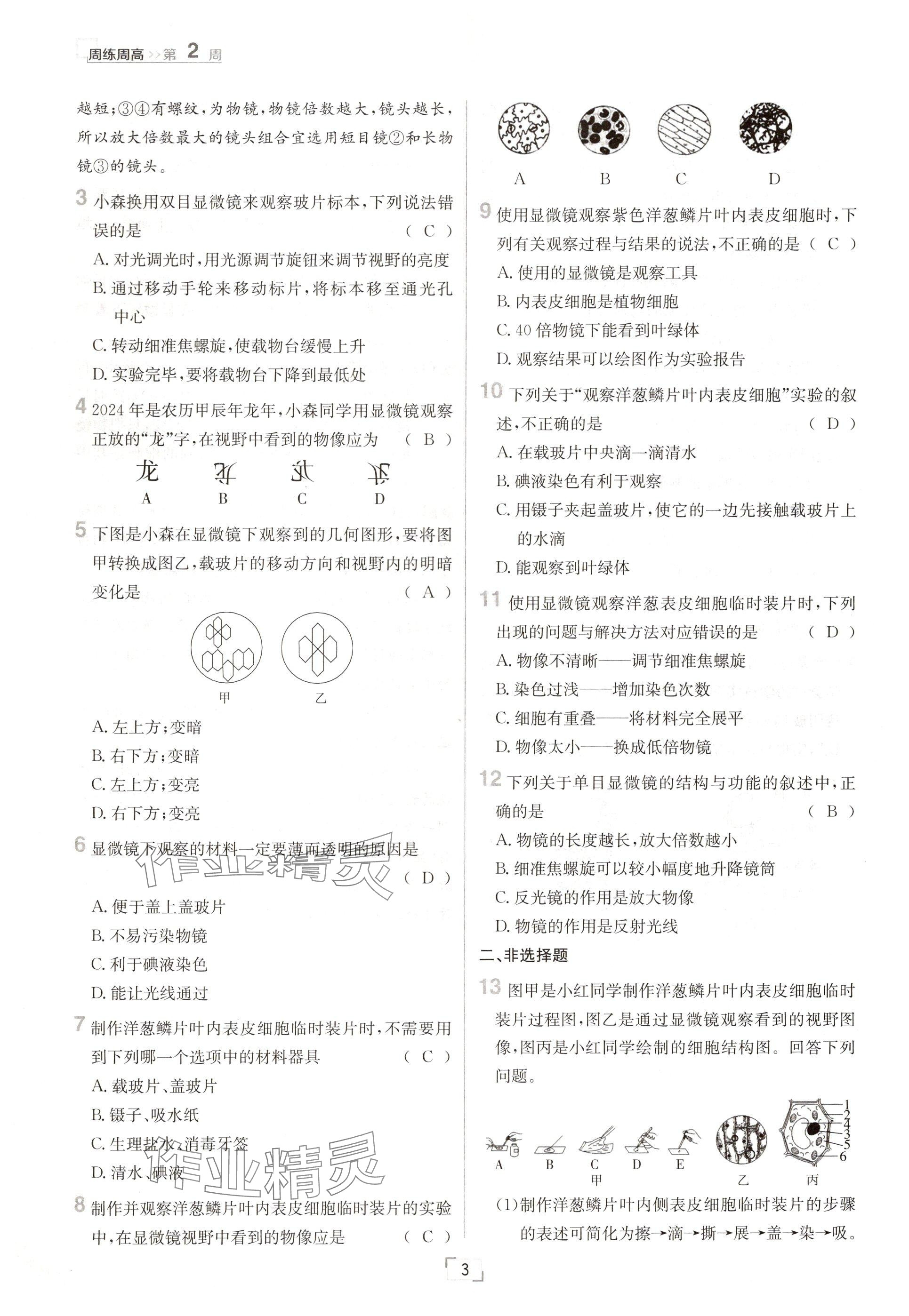 2024年日清周練七年級生物上冊人教版 參考答案第3頁