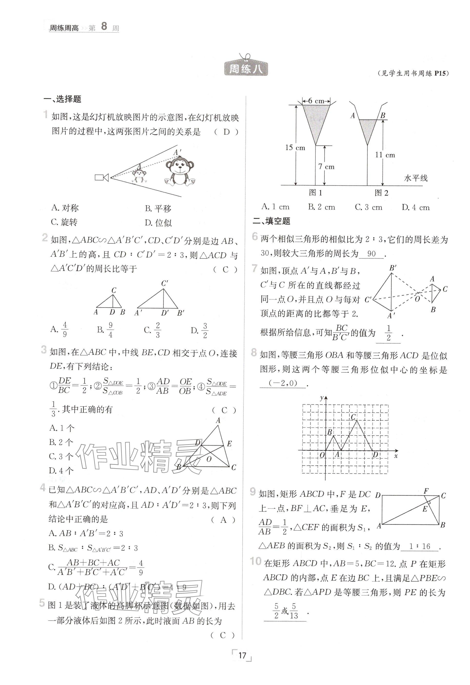 2024年日清周練九年級數(shù)學全一冊北師大版 參考答案第17頁