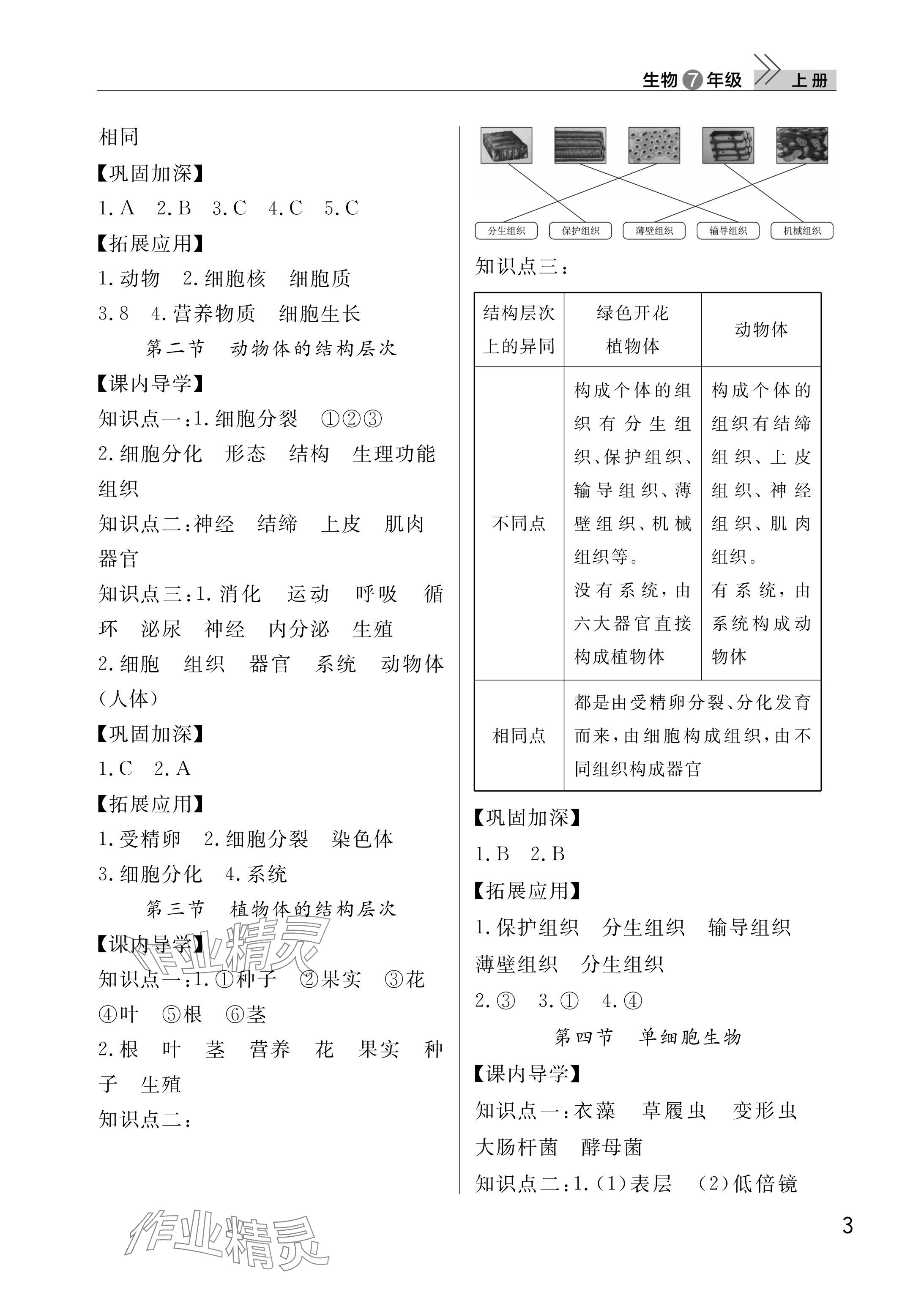 2025年课堂作业武汉出版社七年级生物上册人教版 参考答案第3页