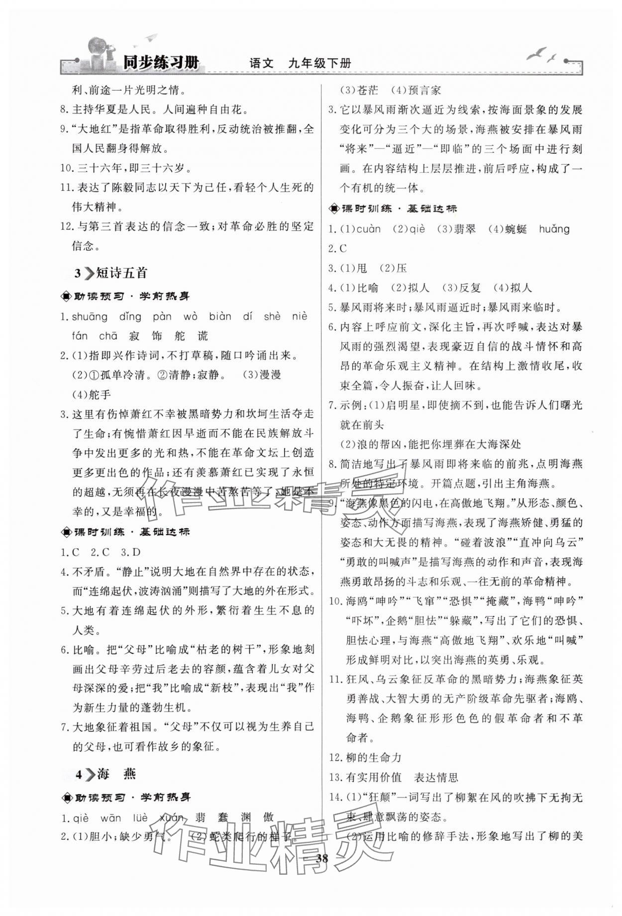 2025年同步练习册人民教育出版社九年级语文下册人教版江苏专版 第2页