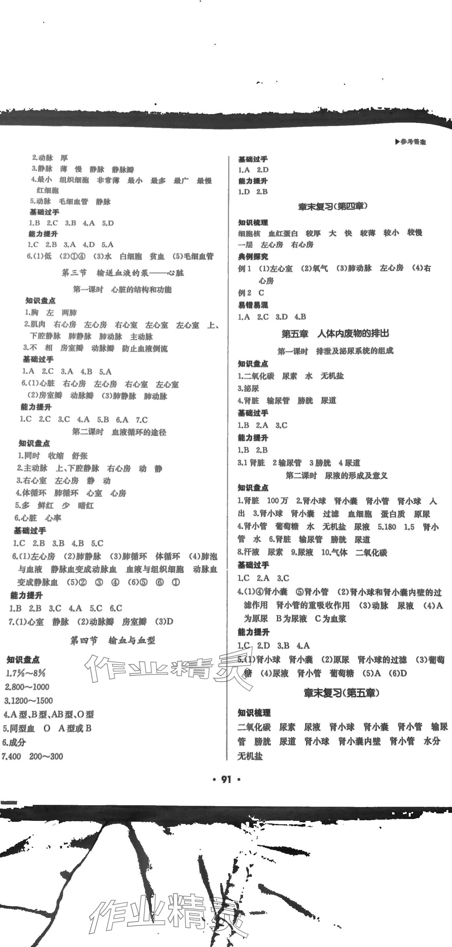 2024年超越训练七年级生物下册人教版 第2页