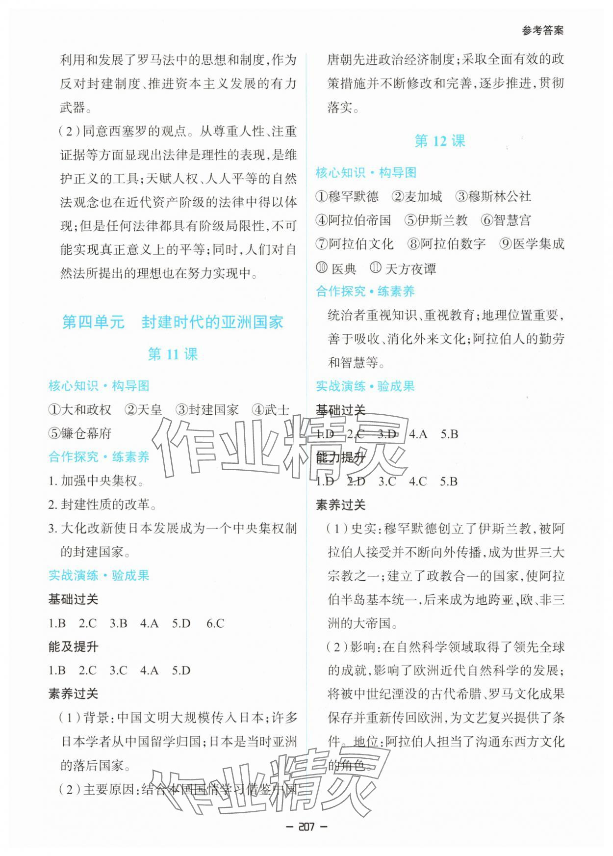 2025年新课堂同步学习与探究九年级历史全一册人教版 第7页