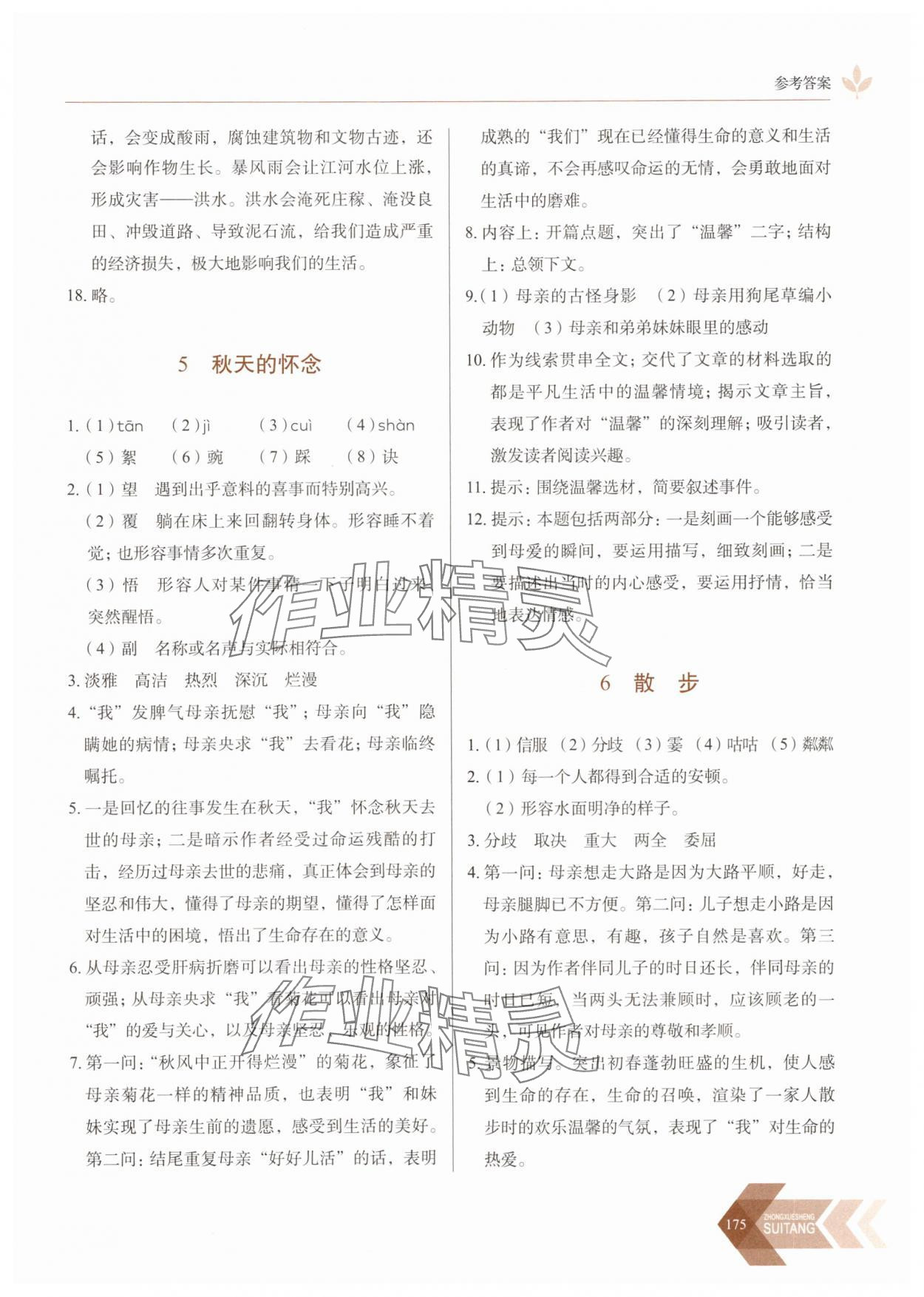 2025年随堂同步练习七年级语文上册人教版 参考答案第5页