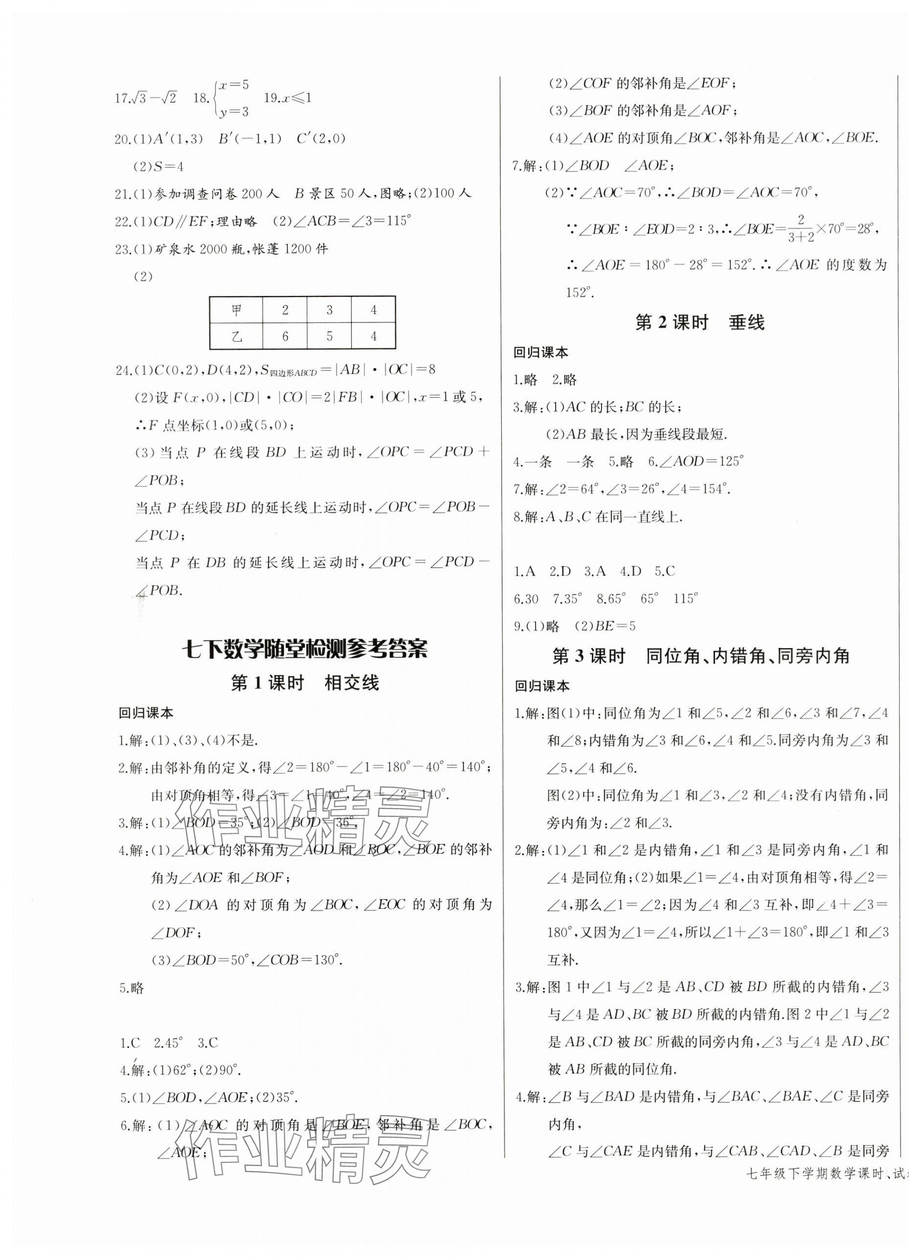 2024年樂學(xué)課堂課時學(xué)講練七年級數(shù)學(xué)下冊人教版 第3頁