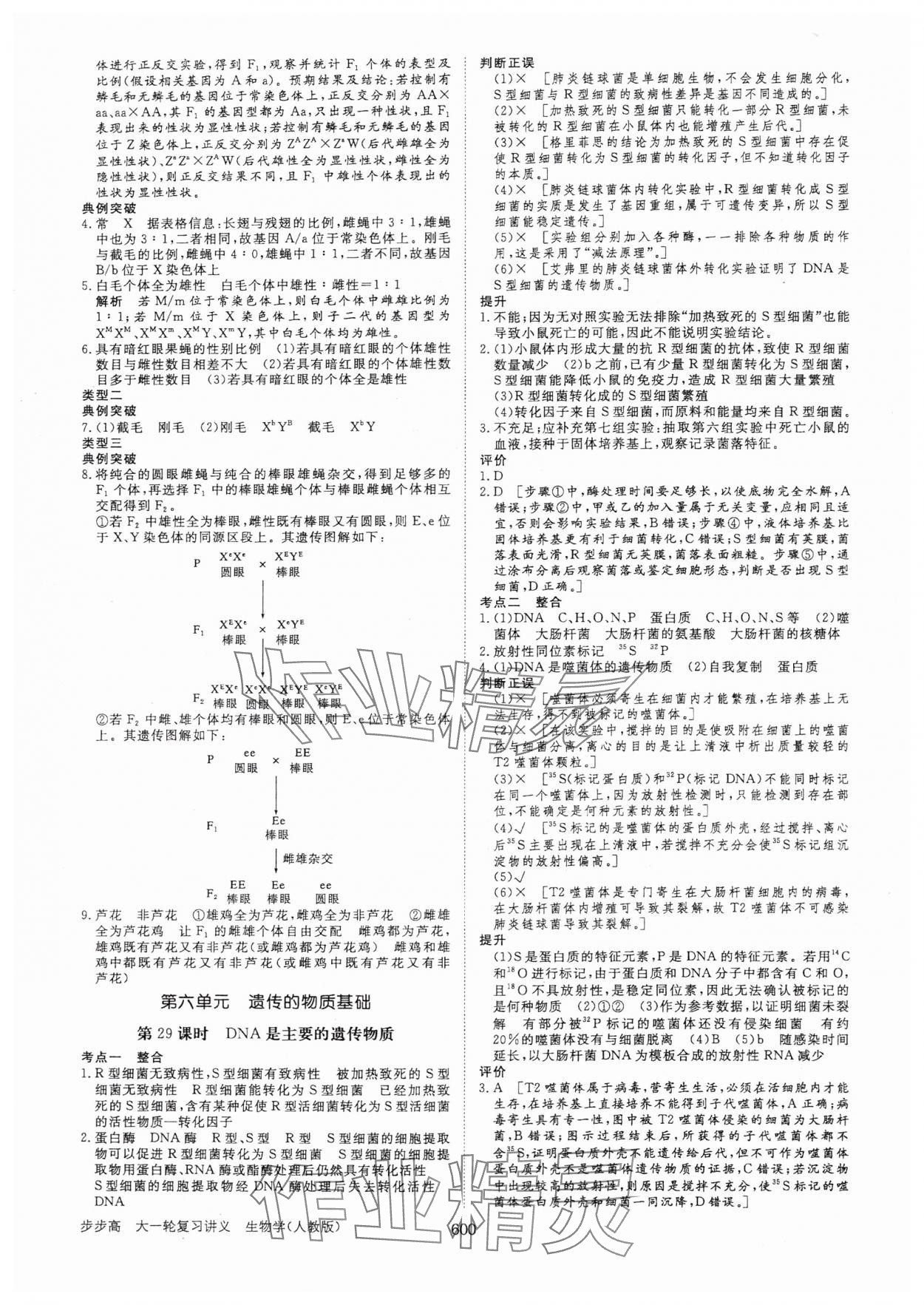 2025年步步高大一輪復(fù)習講義生物人教版 第24頁