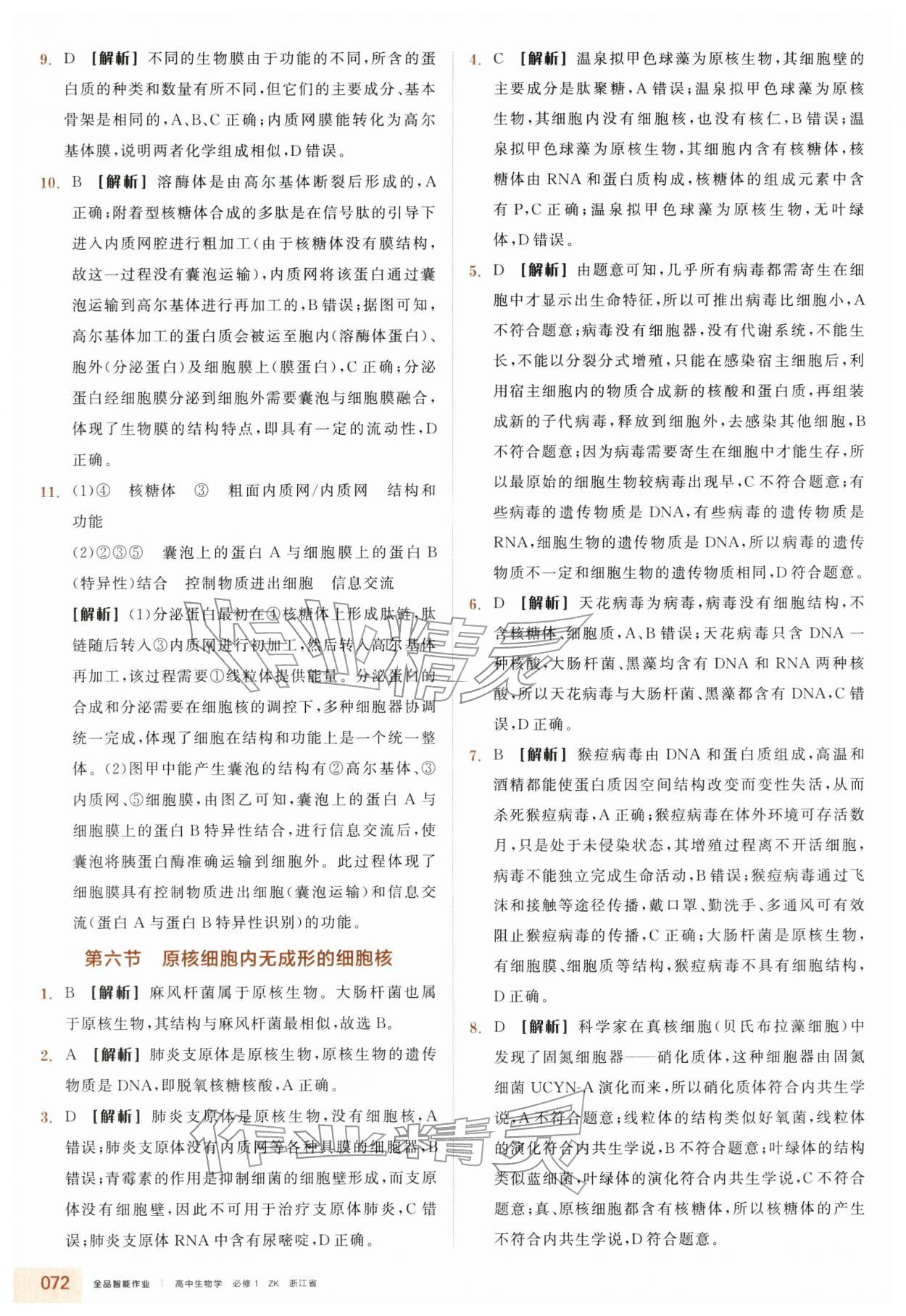 2025年全品智能作业高中生物必修1浙科版浙江专版 第12页