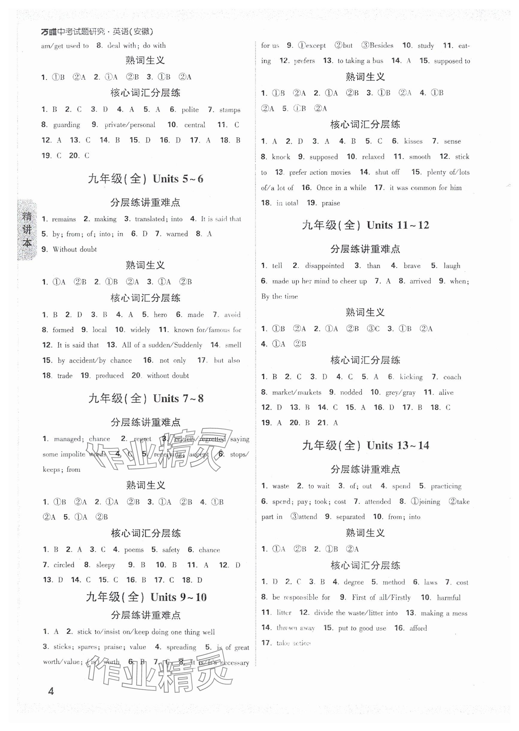 2025年万唯中考试题研究九年级英语安徽专版 第4页