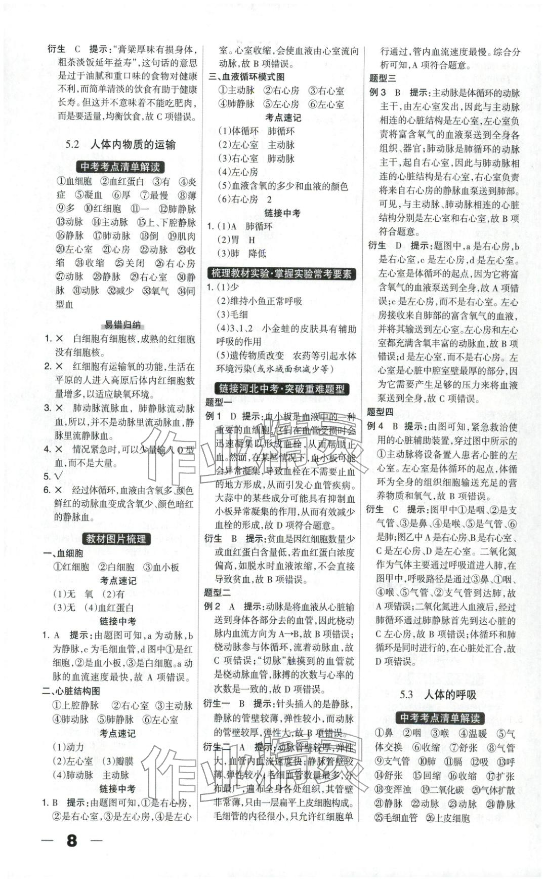 2026年中教万联中考总动员八年级生物河北专版&nbsp;第8页