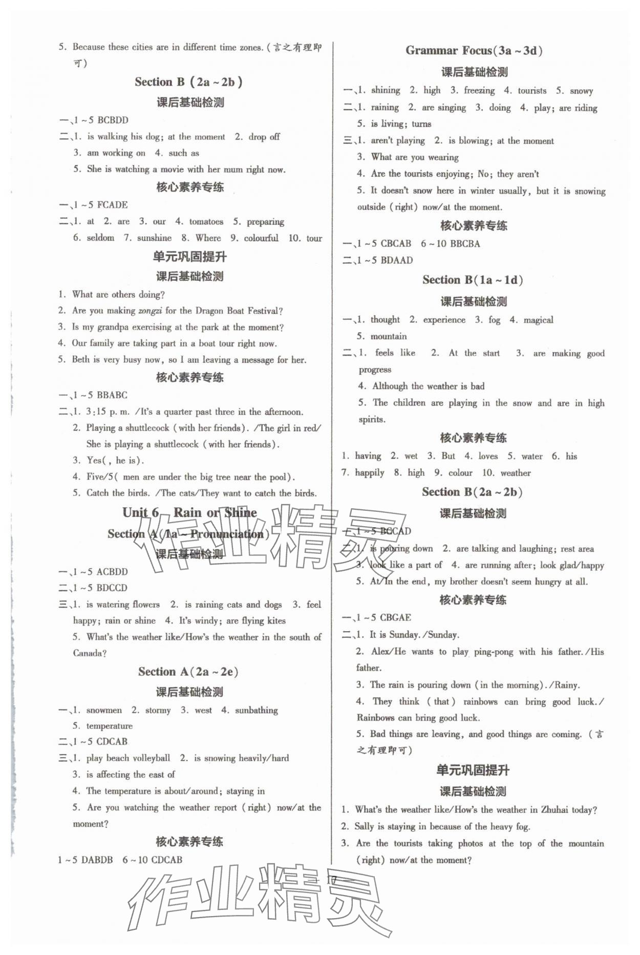 2025年領跑作業(yè)本七年級英語下冊人教版廣東專版 參考答案第17頁