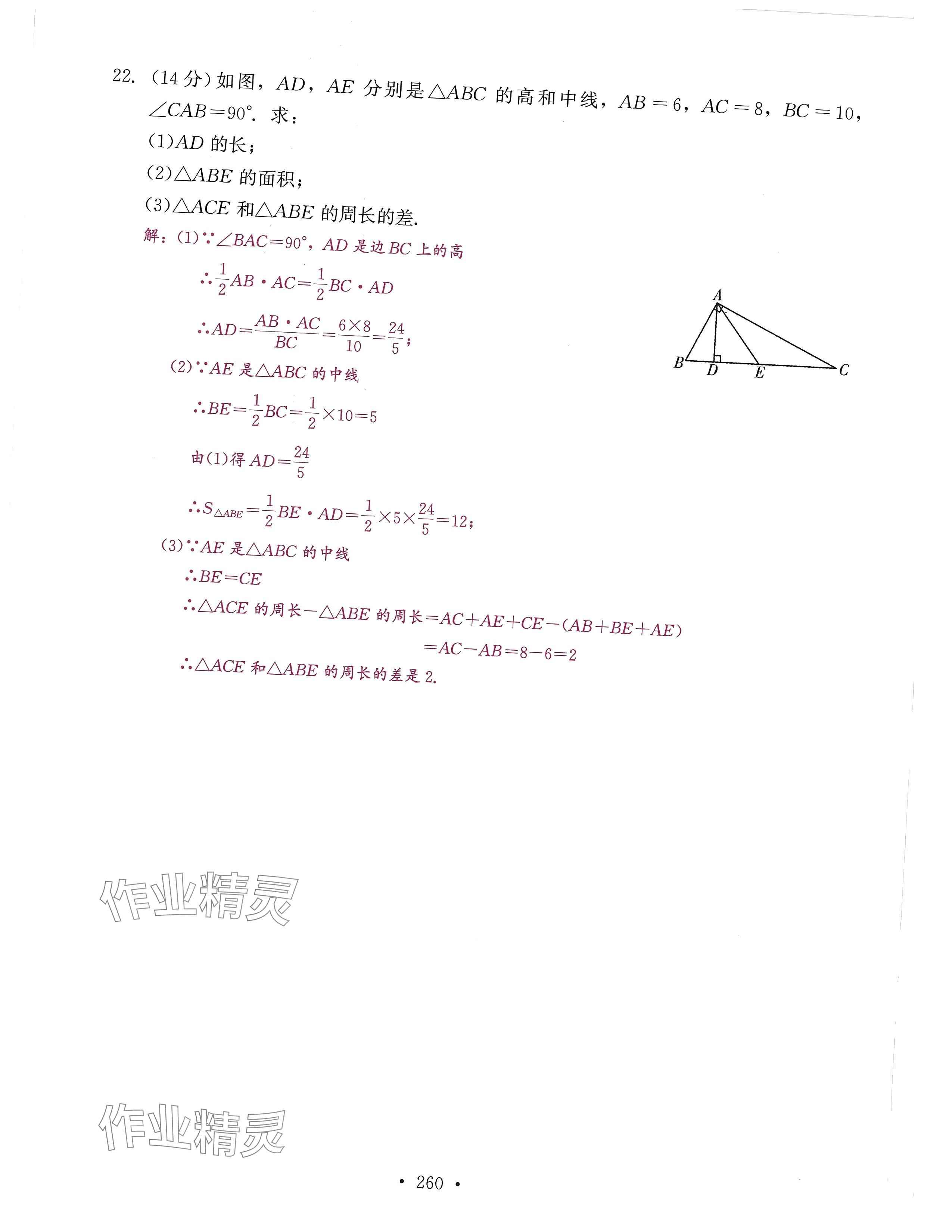 2024年活页过关练习西安出版社八年级数学上册人教版 第4页