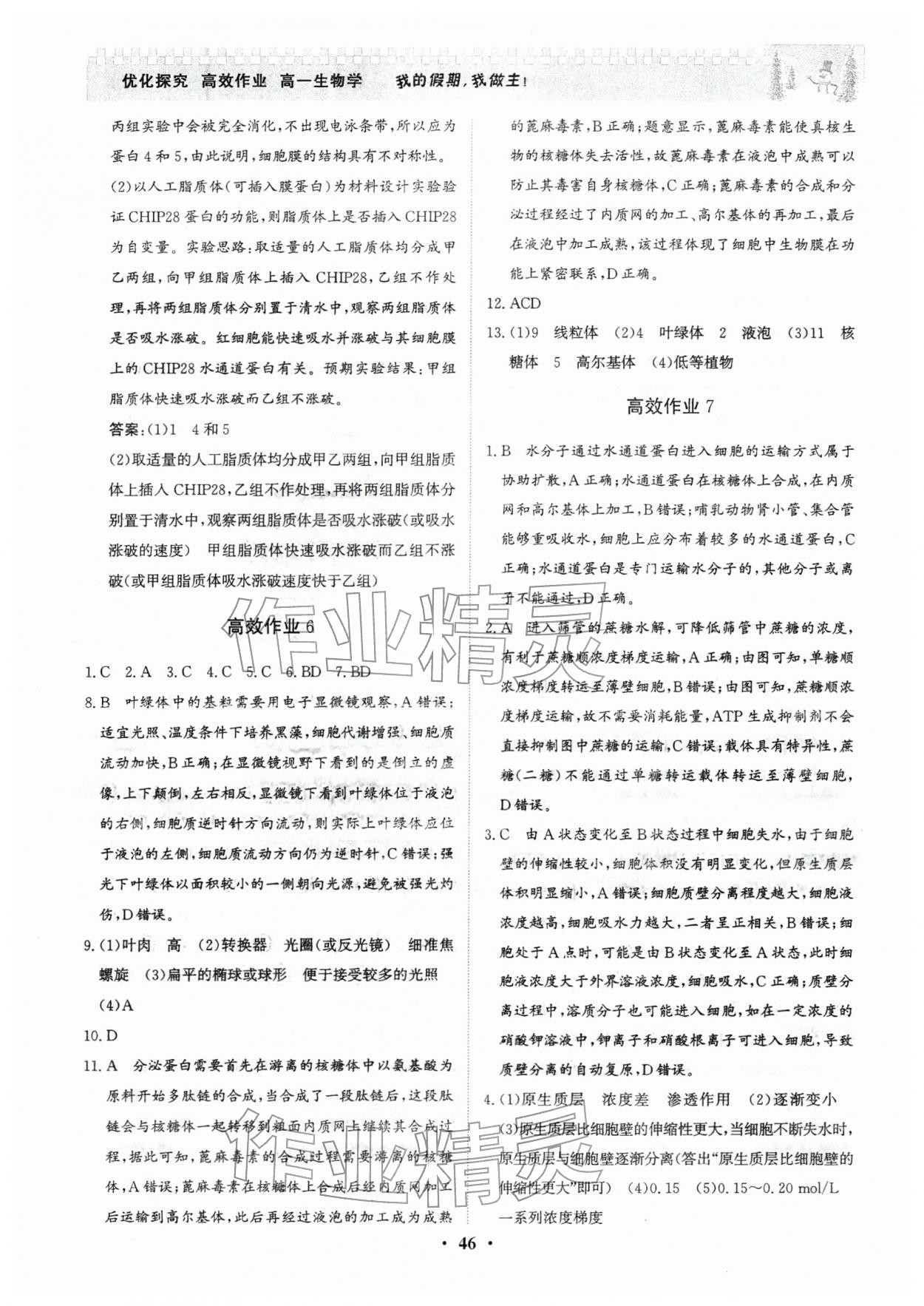 2026年優(yōu)化探究高效作業(yè)高一生物&nbsp;參考答案第4頁