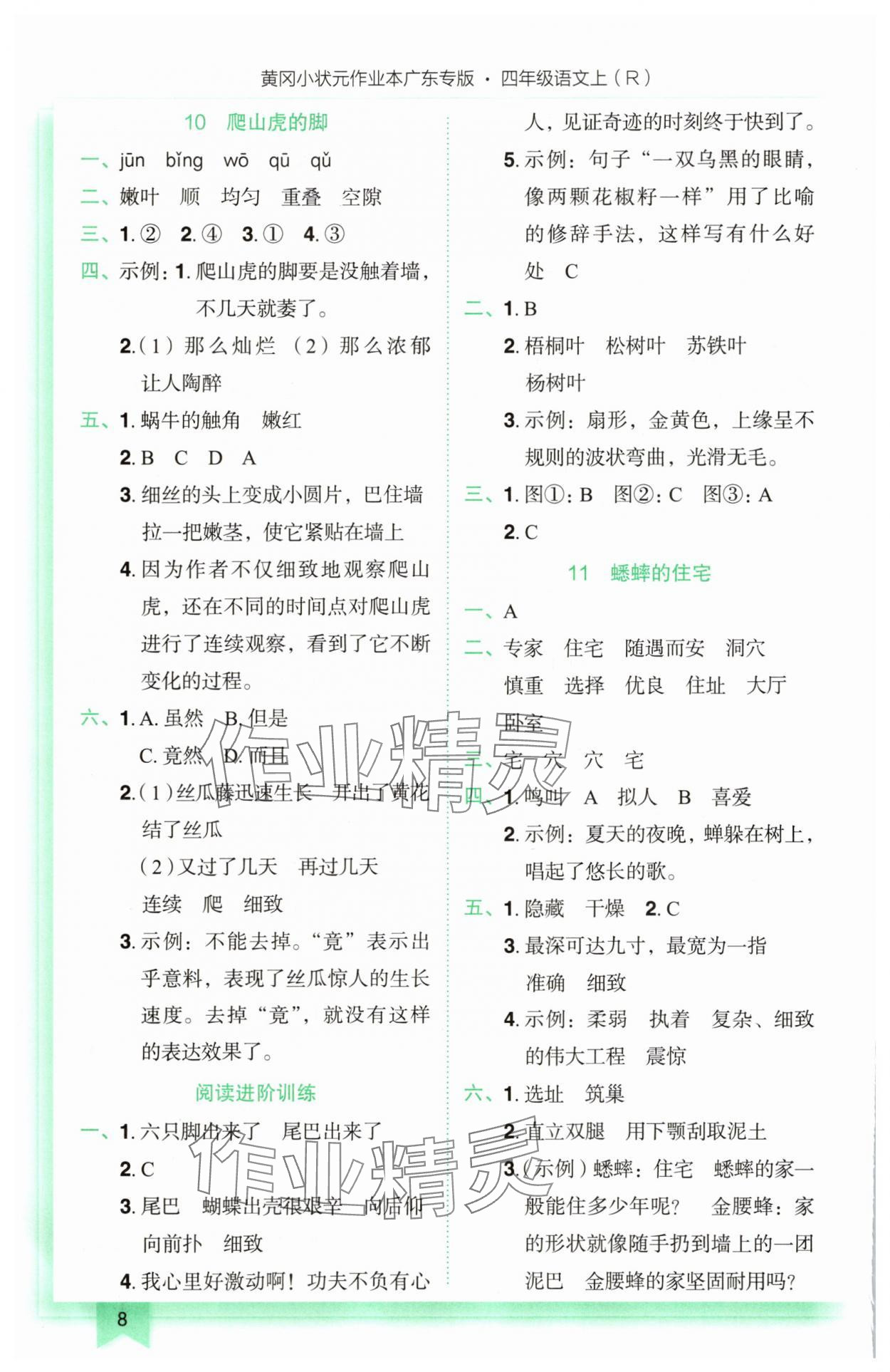 2025年黃岡小狀元作業(yè)本四年級語文上冊人教版廣東專版 參考答案第8頁