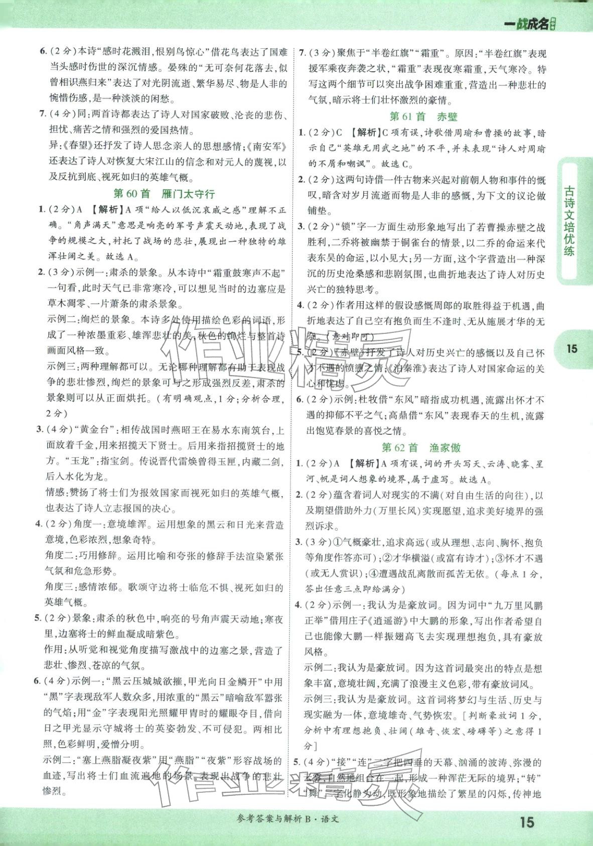 2026年纯练版总复习九年级语文全一册人教版&nbsp;第15页