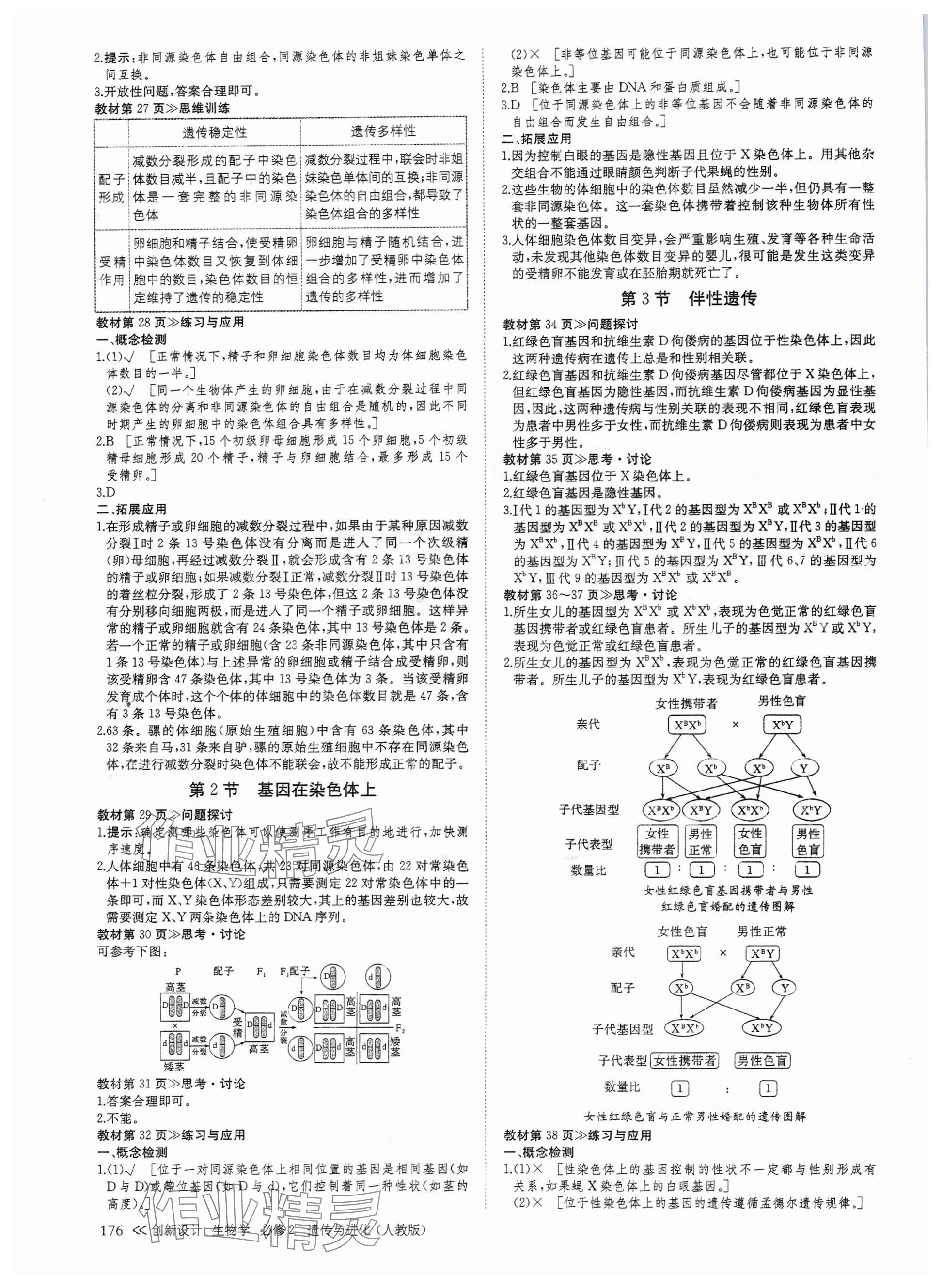 2025年創新設計高中生物必修2人教版 參考答案第4頁