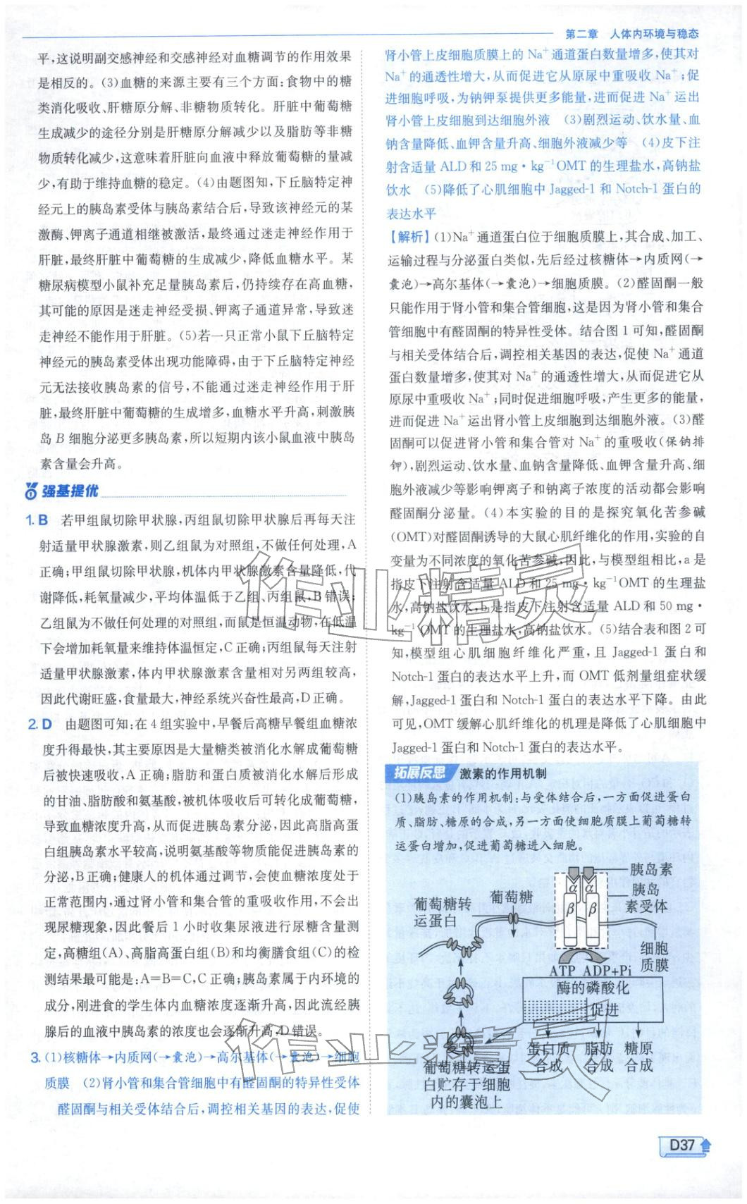 2026年實驗班提優(yōu)訓(xùn)練高中生物選擇性必修第一冊蘇教版&nbsp;第37頁