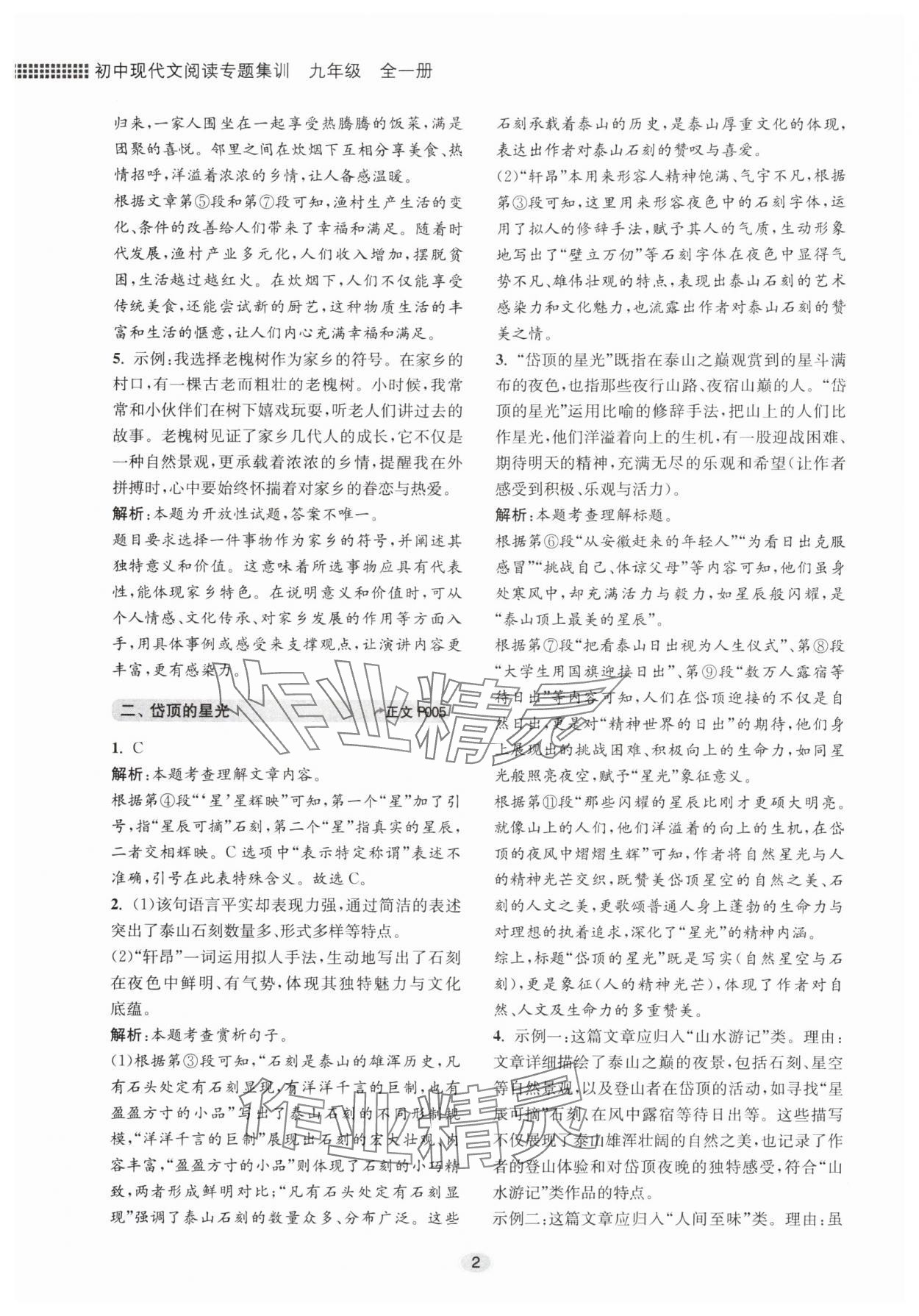 2025年初中现代文阅读专题集训九年级语文人教版 第2页