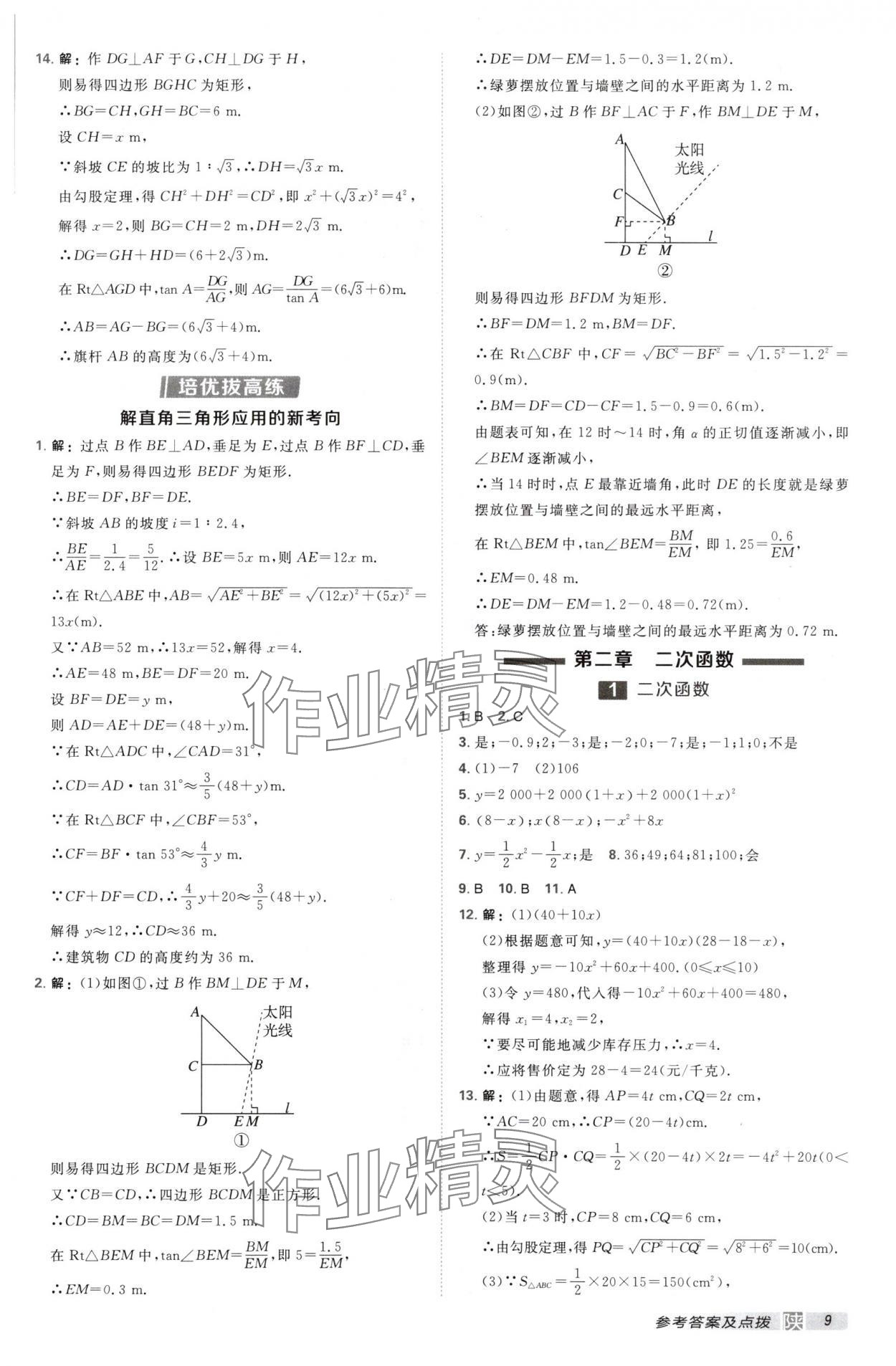 2025年点拨训练九年级数学下册北师大版陕西专版 第9页
