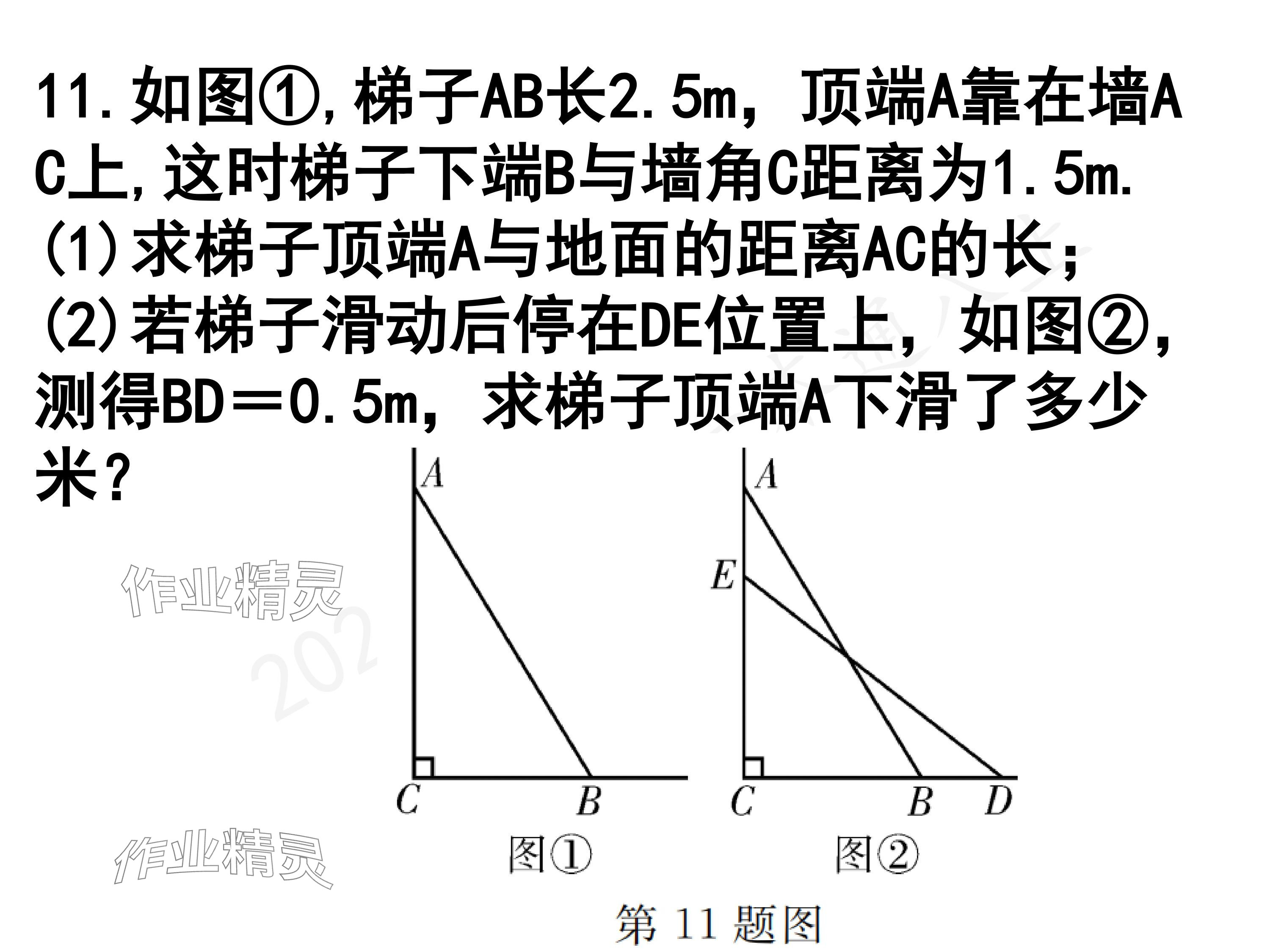 2024年一本通武漢出版社八年級(jí)數(shù)學(xué)上冊(cè)北師大版精簡(jiǎn)版 參考答案第11頁