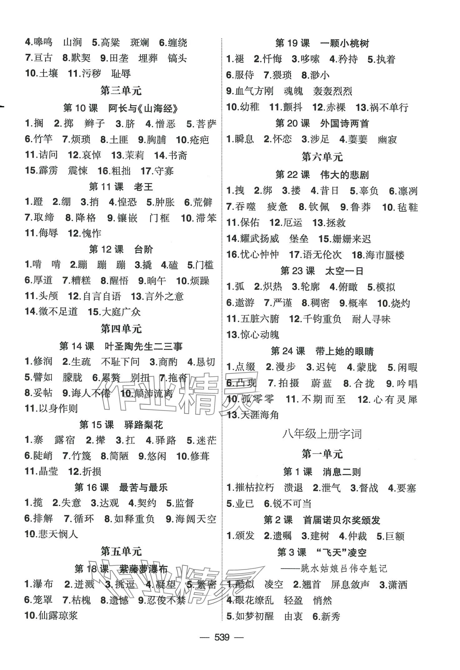 2024年創(chuàng)新A+中考總復(fù)習(xí)語文廣東專版 第11頁