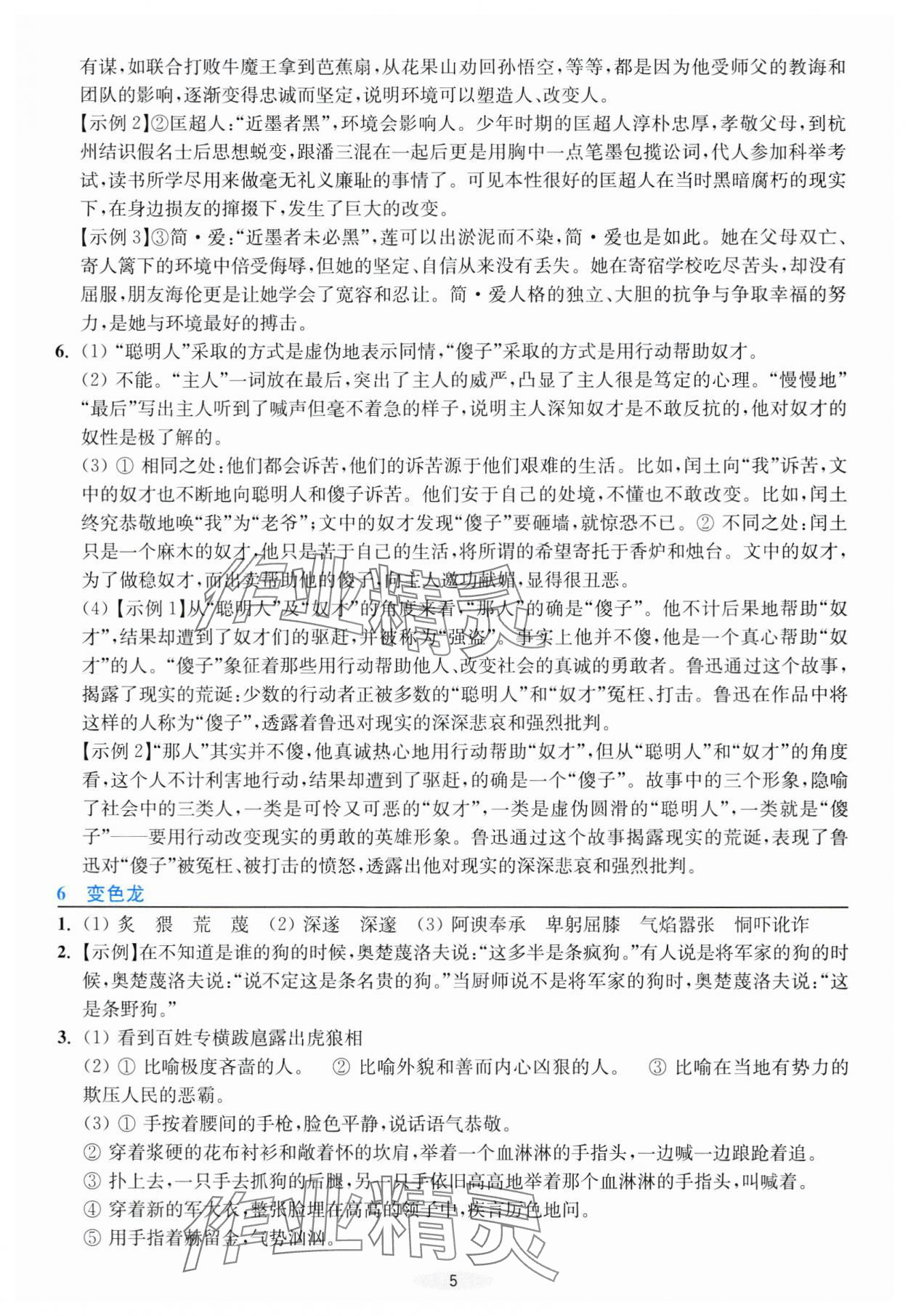 2025年預(yù)學(xué)與導(dǎo)學(xué)九年級語文下冊人教版 第5頁