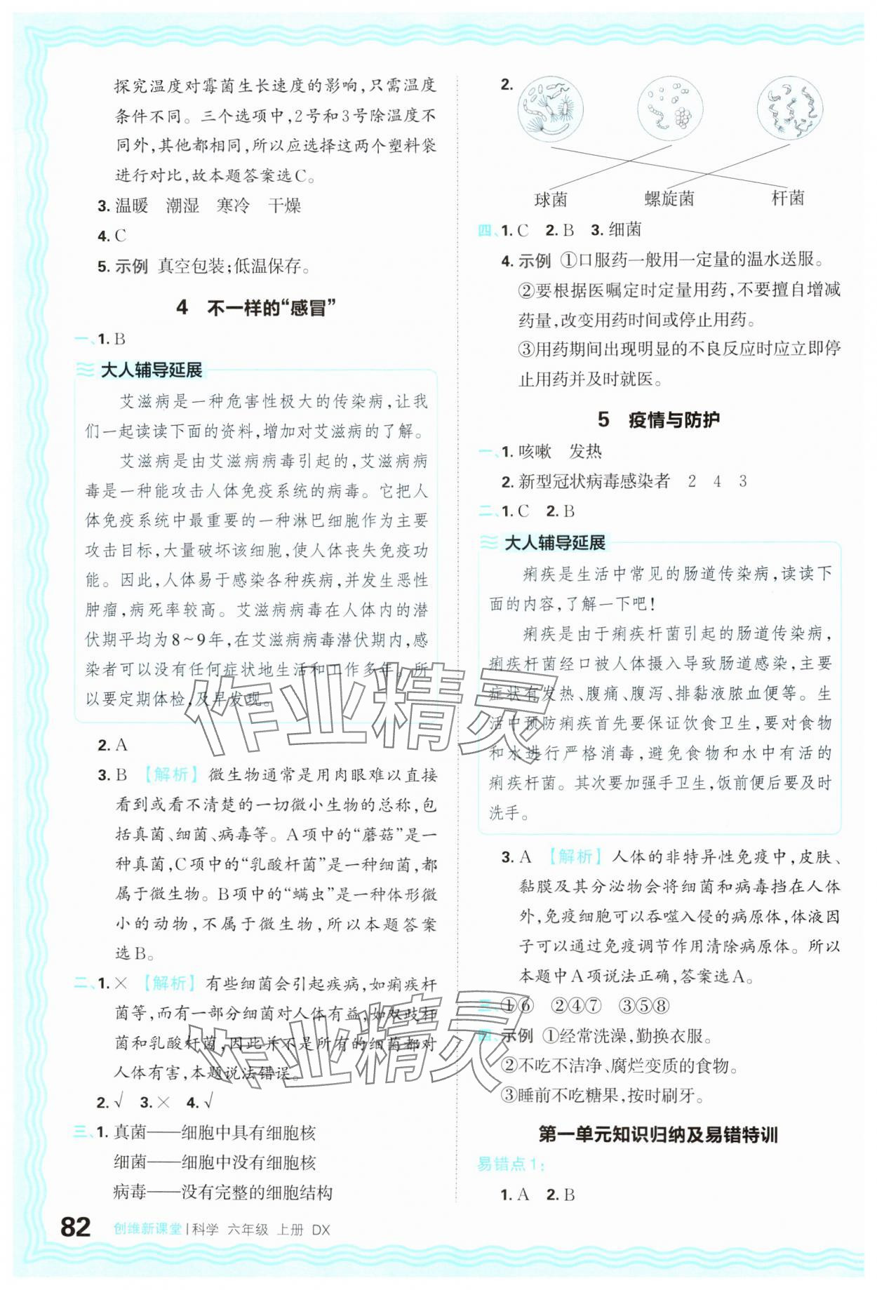 2024年創(chuàng)維新課堂六年級科學上冊大象版 參考答案第2頁