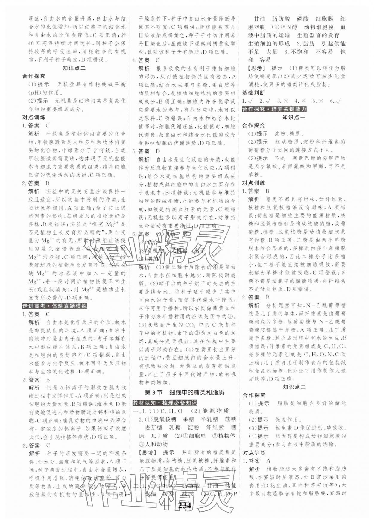 2023年高考調(diào)研衡水重點中學新教材同步學案高中生物必修1人教版 第4頁