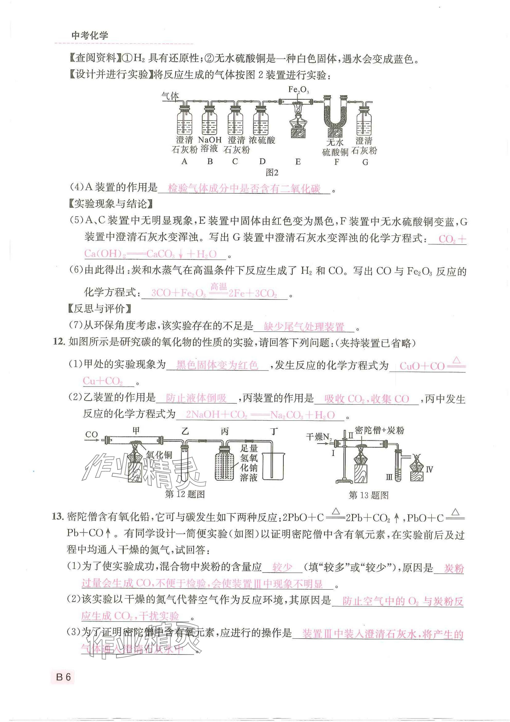2025年一品中考化學武漢專版 參考答案第6頁