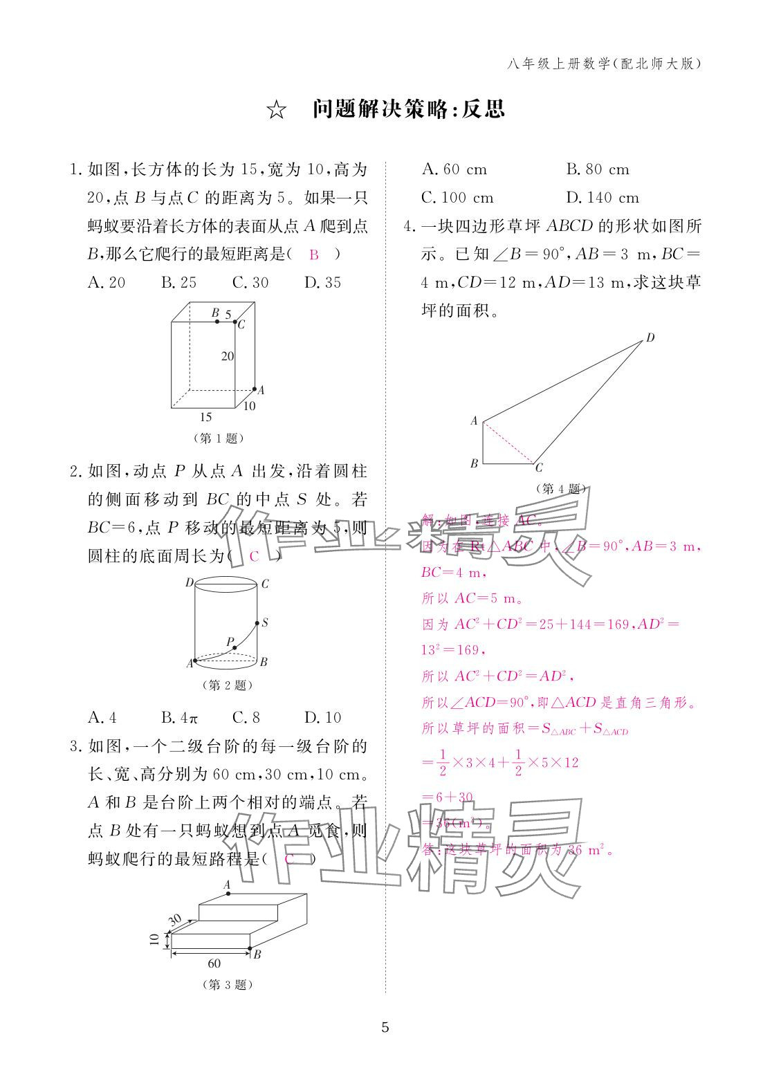 2025年作业本江西教育出版社八年级数学上册北师大版 参考答案第5页