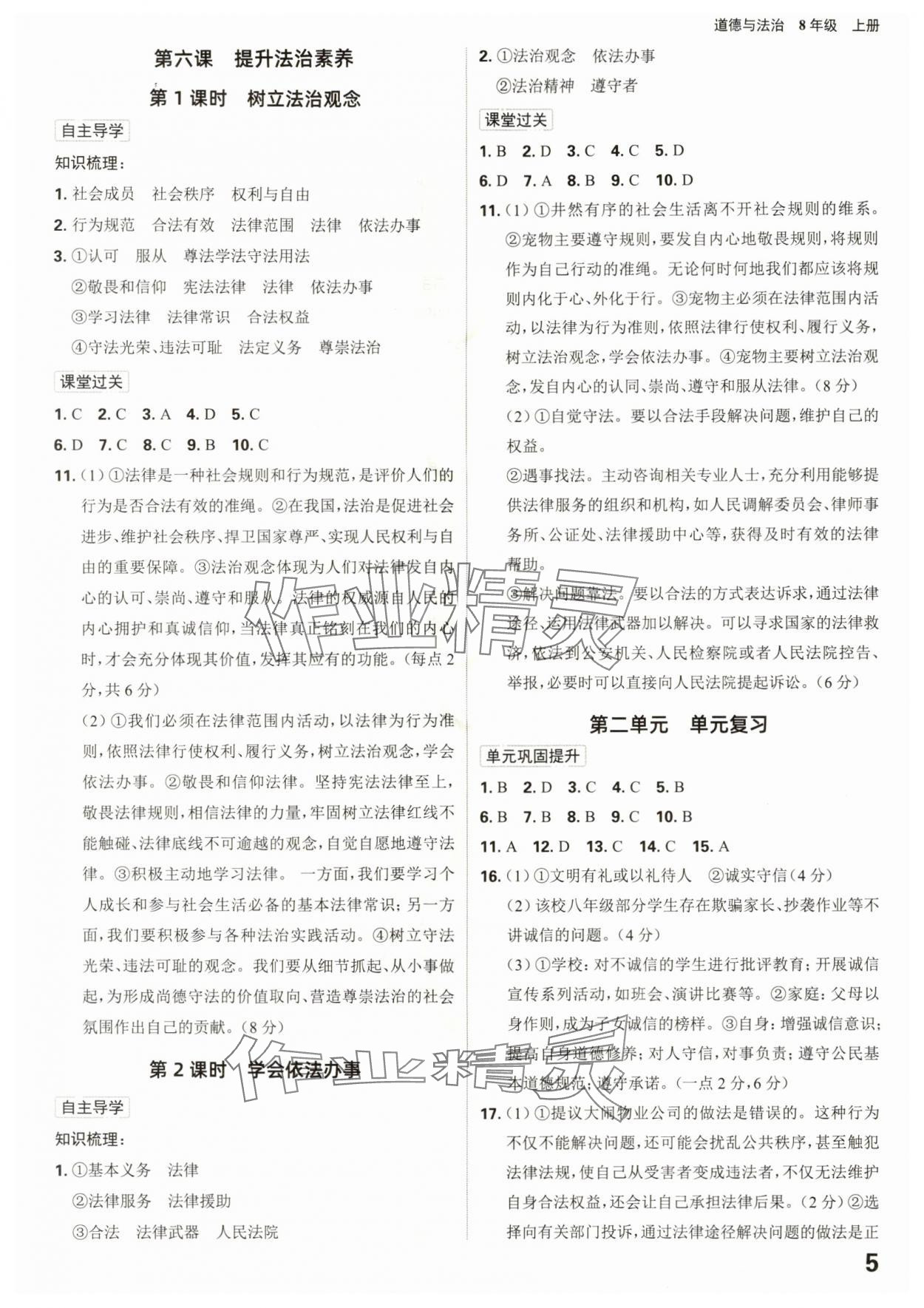 2025年全程突破八年级道德与法治上册人教版 第5页