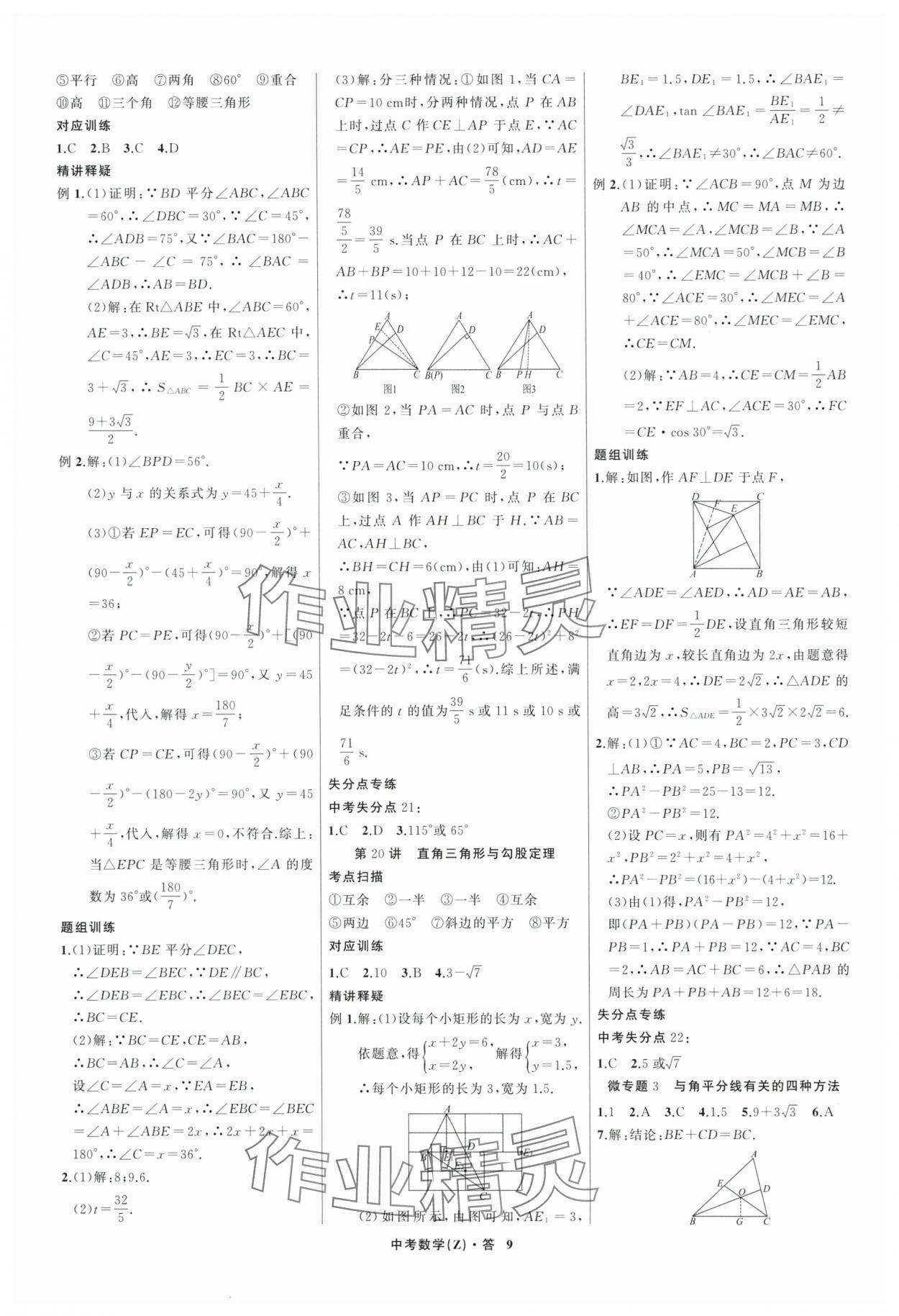 2024年名師面對(duì)面中考滿分特訓(xùn)方案數(shù)學(xué)浙江專版 參考答案第9頁(yè)