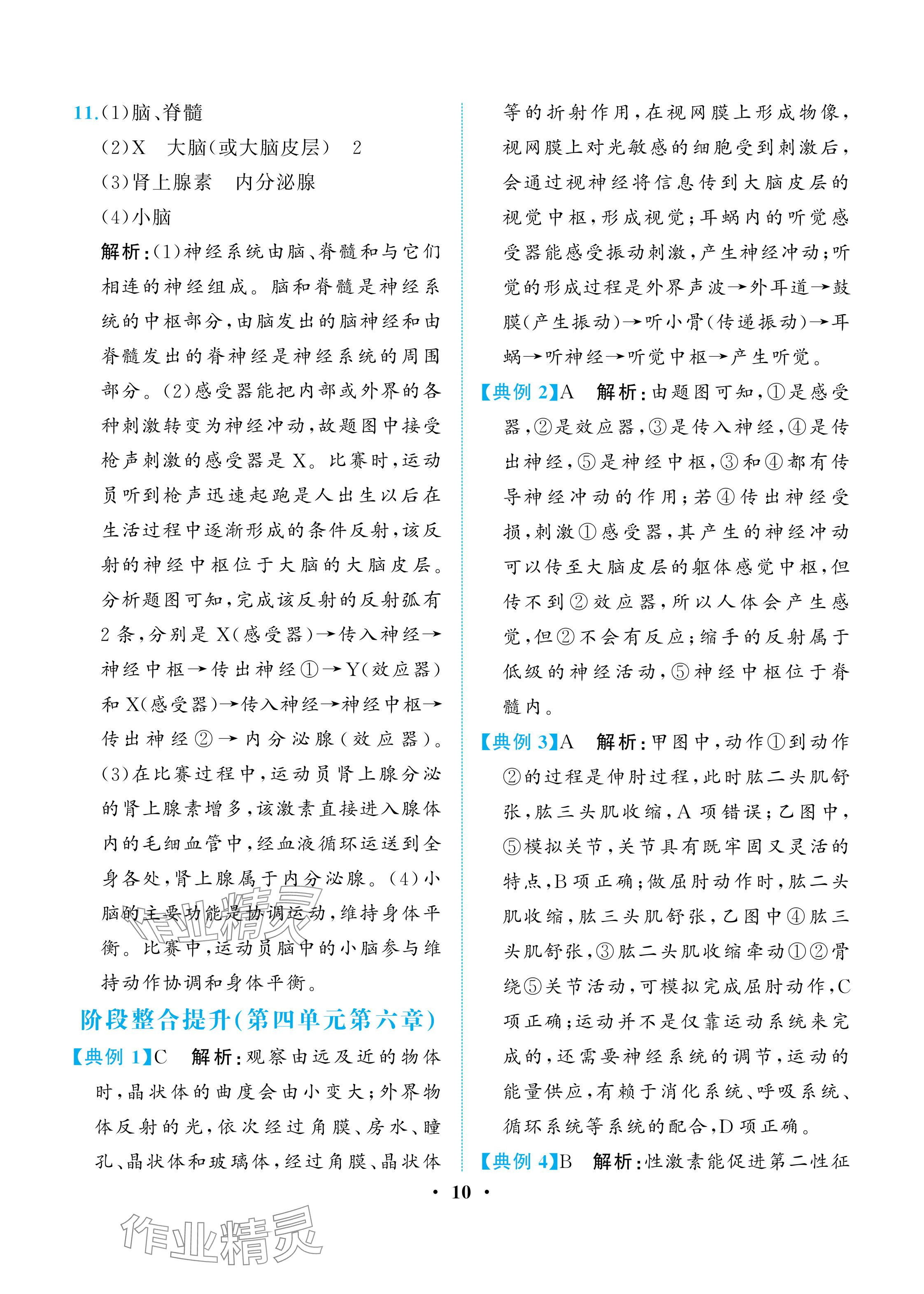 2025年人教金學典同步解析與測評八年級生物上冊人教版重慶專版 參考答案第10頁