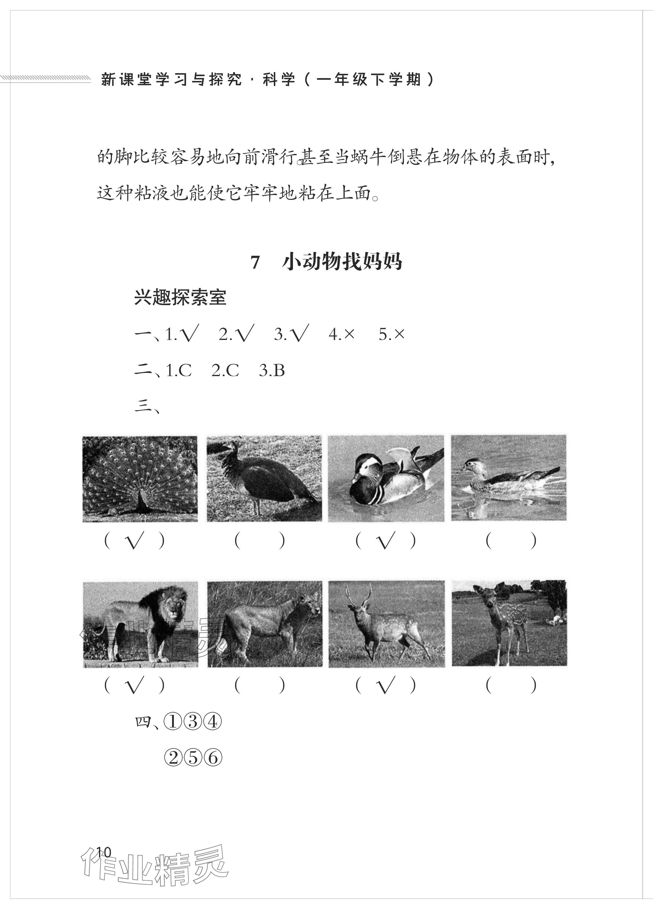 2024年新課堂學習與探究一年級科學下冊青島版 參考答案第10頁